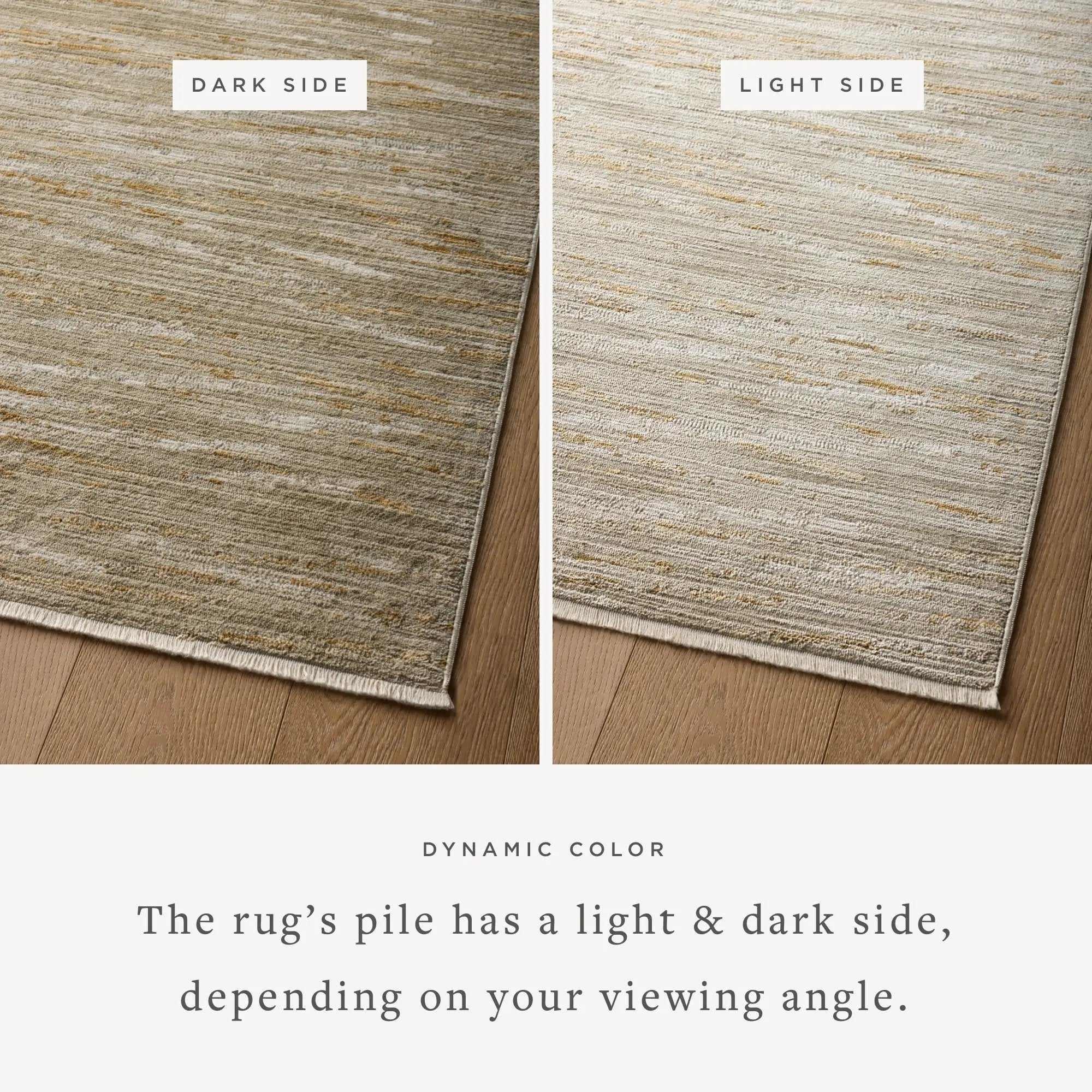 Wade WAE-01 Sage / Gold Area Rug by Loloi
