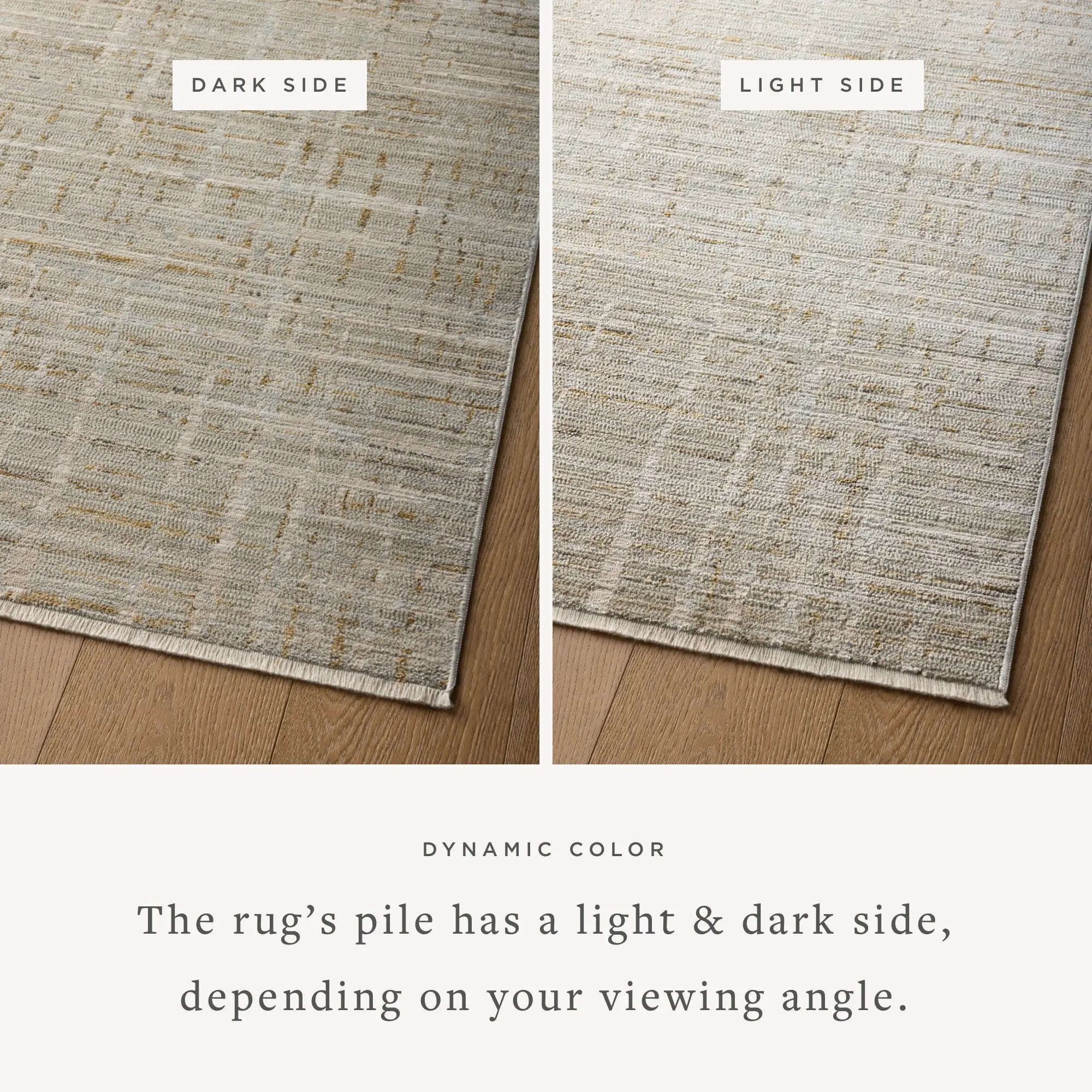 Wade WAE-03 Mist / Gold Area Rug by Loloi