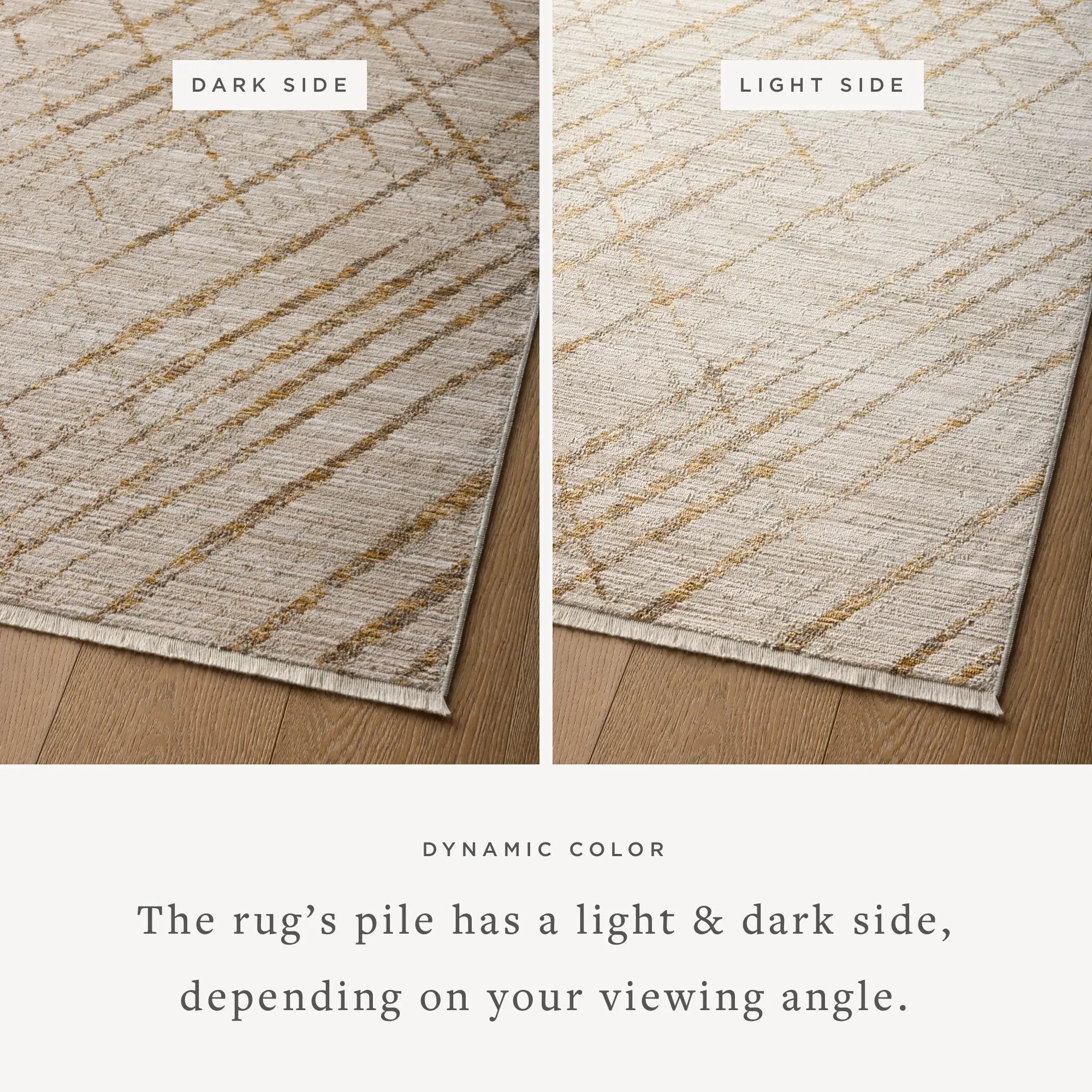 Wade WAE-04 Beige / Gold Area Rug by Loloi