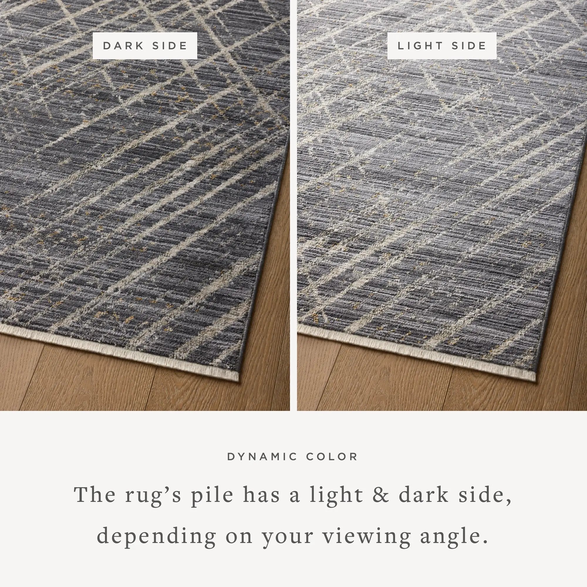 Wade WAE-04 Midnight / Beige Area Rug by Loloi
