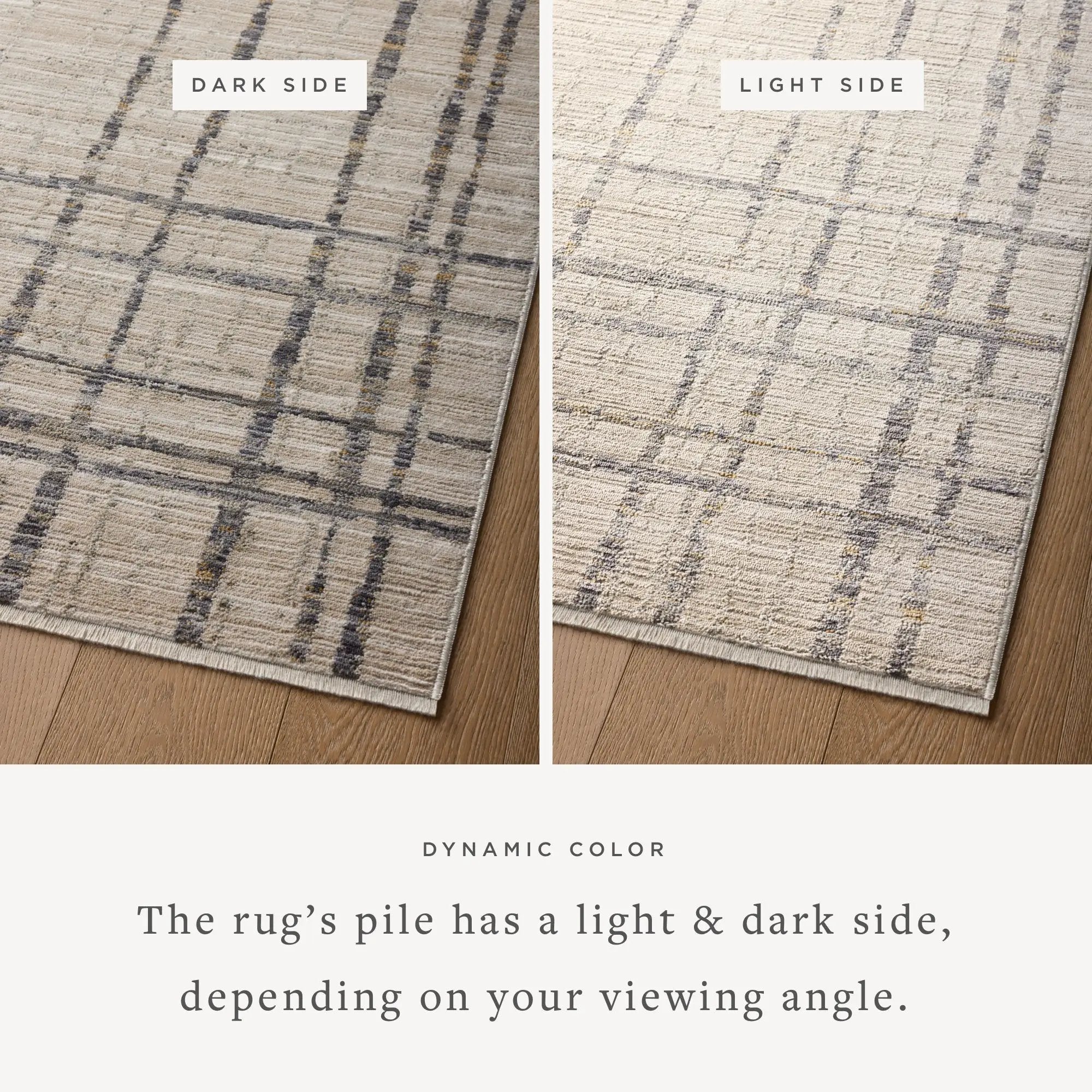 Wade WAE-05 Beige / Midnight Area Rug by Loloi