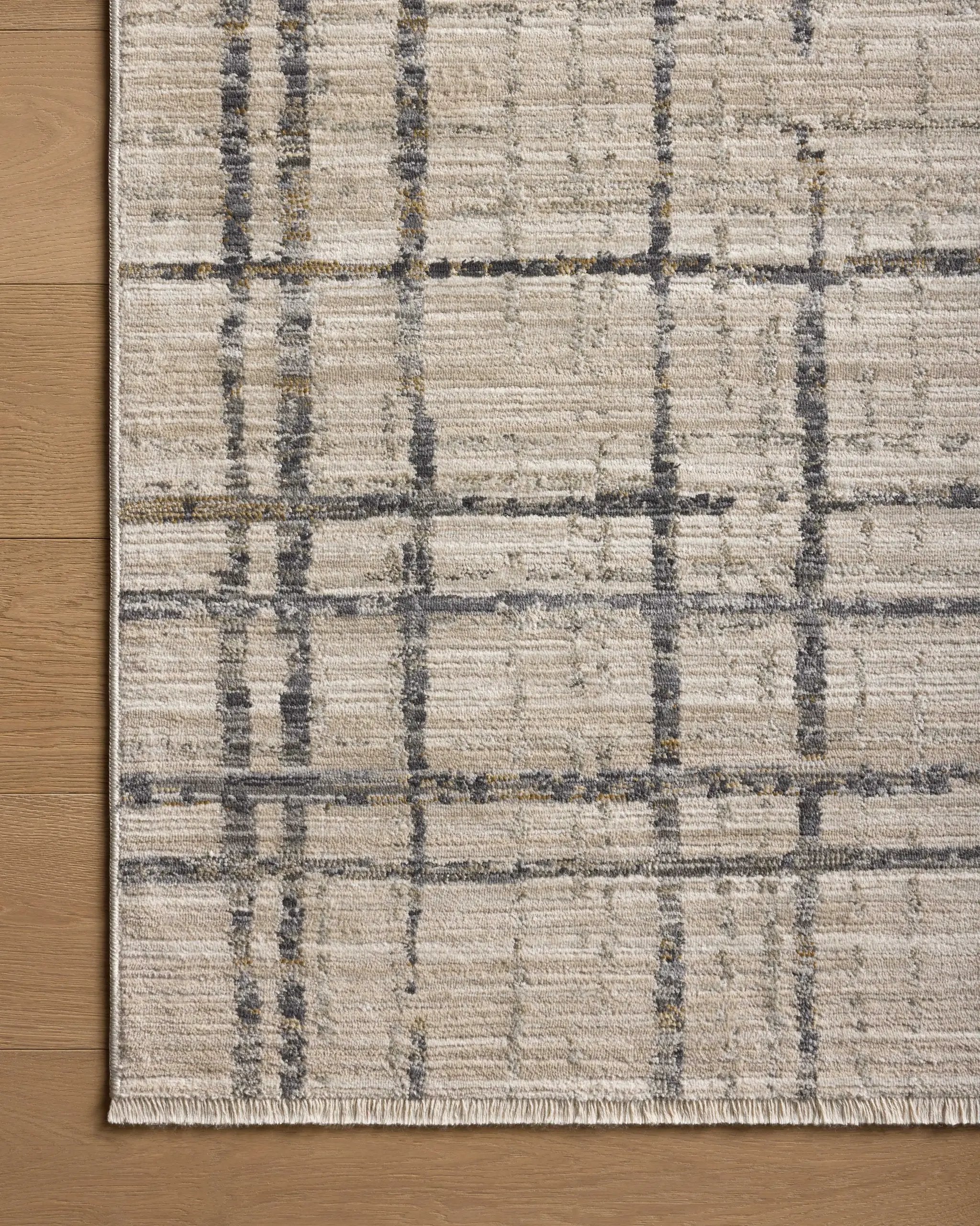 Wade WAE-05 Beige / Midnight Area Rug by Loloi