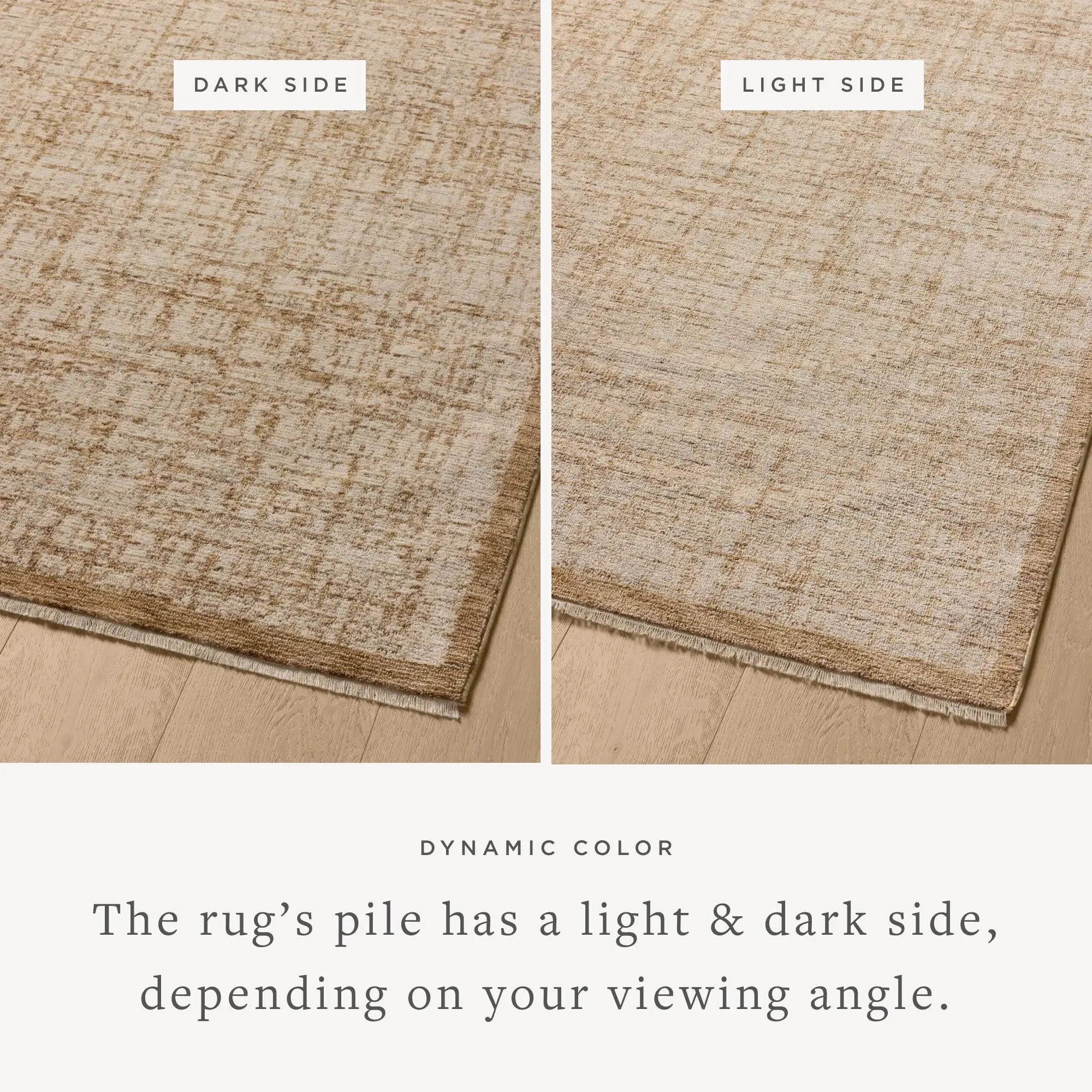 Winston WIT-01 Spice / Bone Area Rug by Loloi