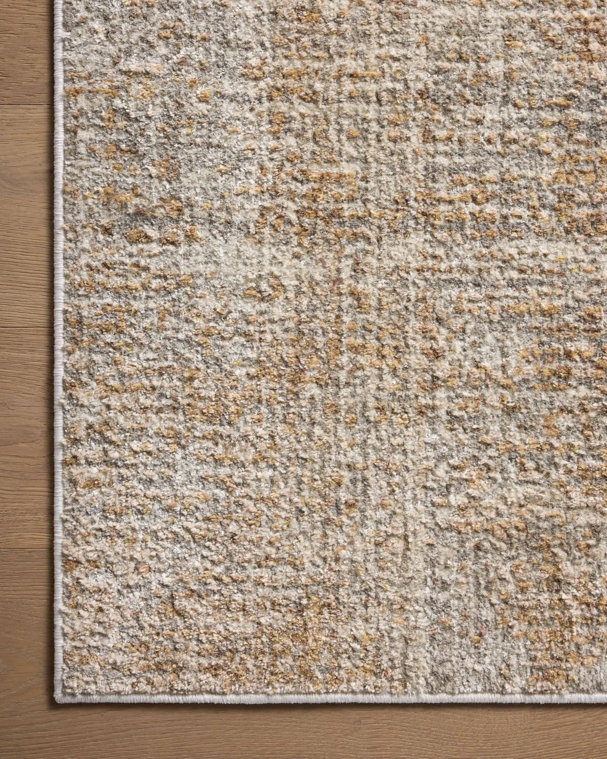 Wyatt WYA-01 Spice / Silver Area Rug by Loloi