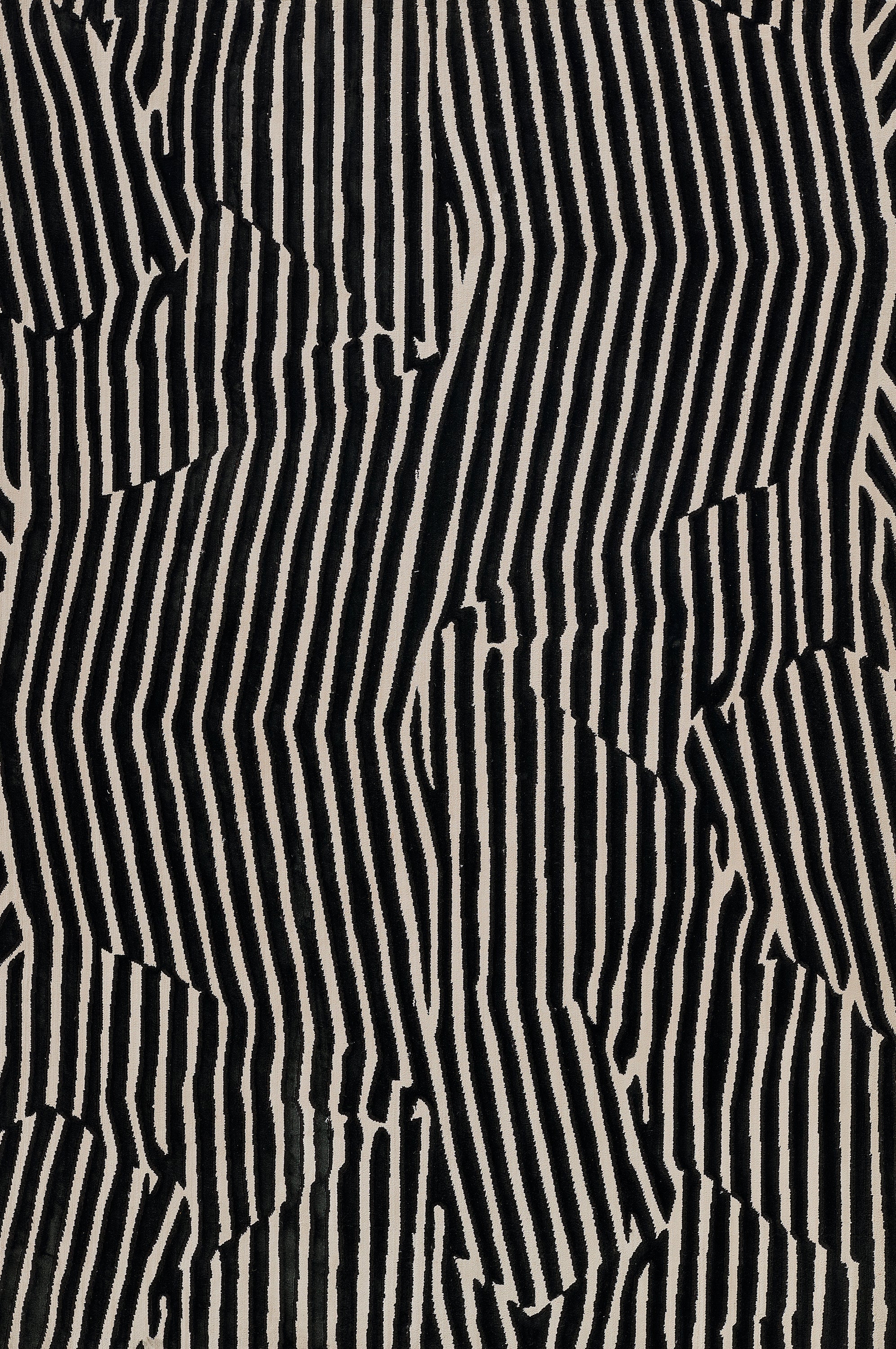 Momeni Xander XAN-2 Black Area Rug
