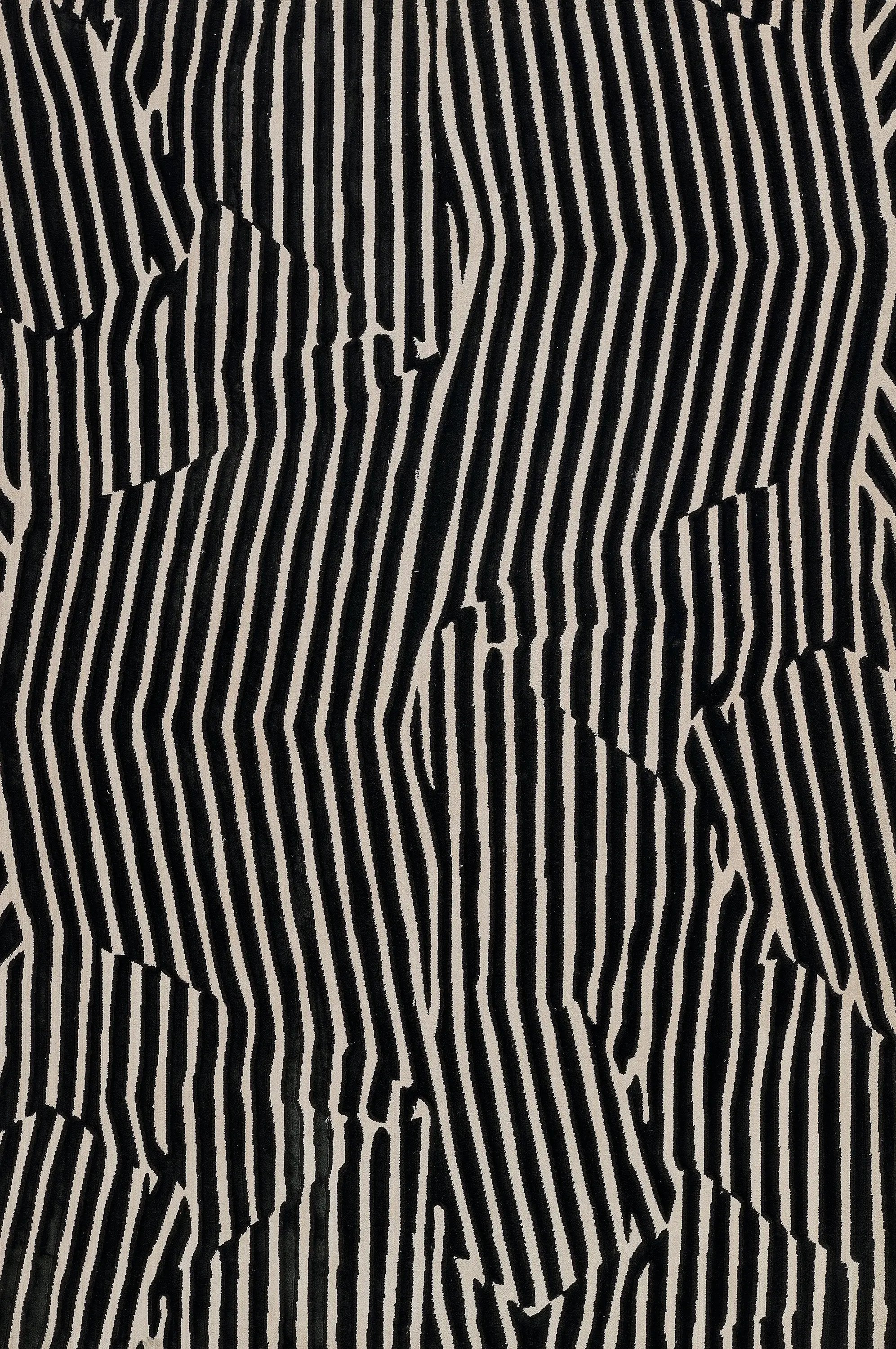 Xander XAN-2 Black Area Rug by Momeni