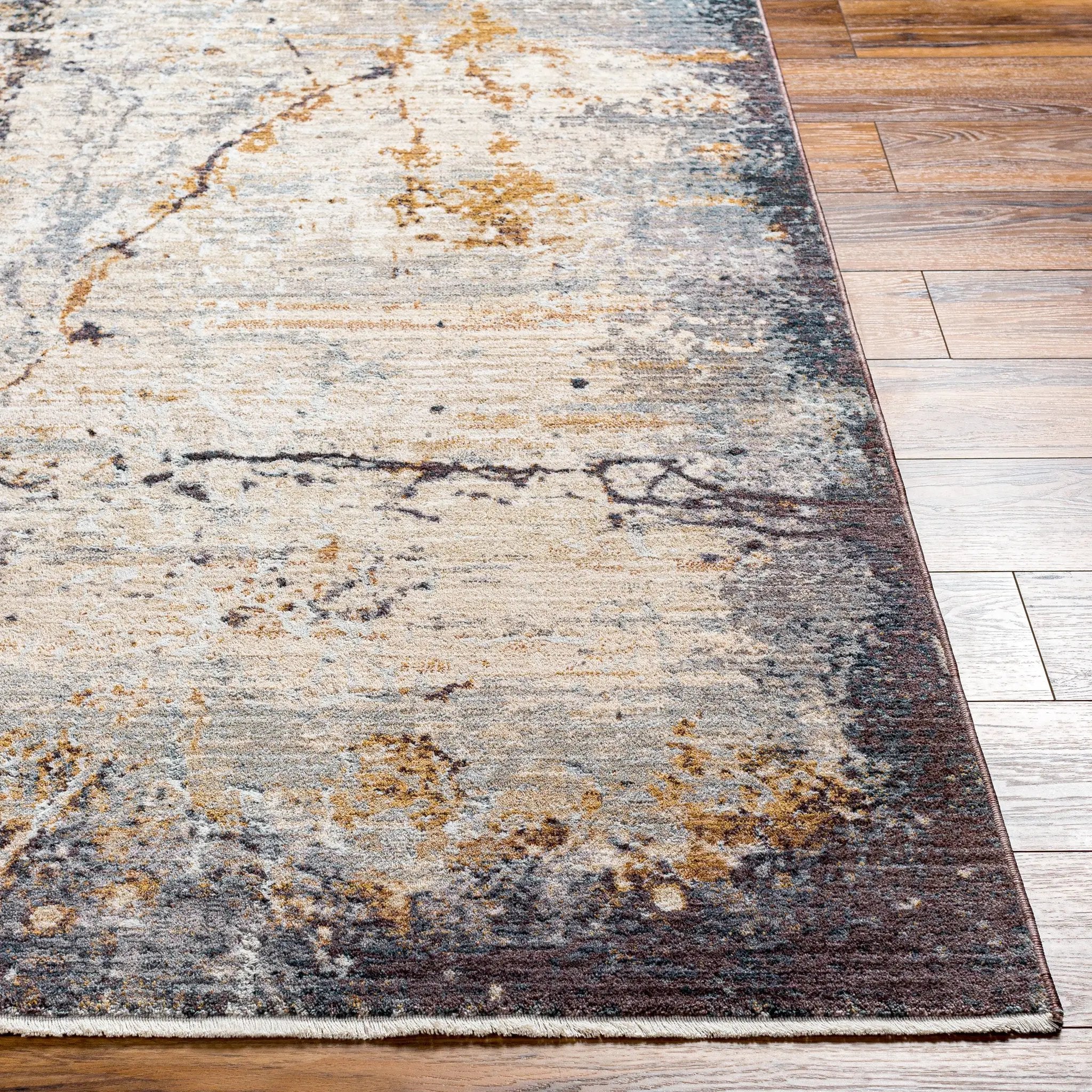 Aida AAD-2302 Beige Area Rug by LIVABLISS
