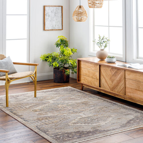 Surya Aida AAD-2303 Beige Area Rug by LIVABLISS