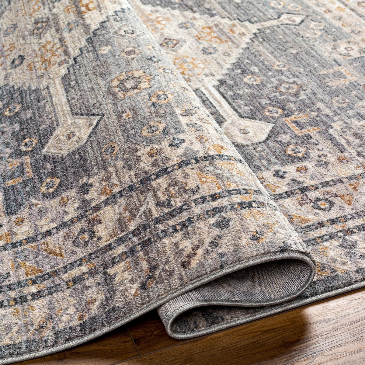 Aida AAD-2305 Medium-Gray Area Rug by LIVABLISS