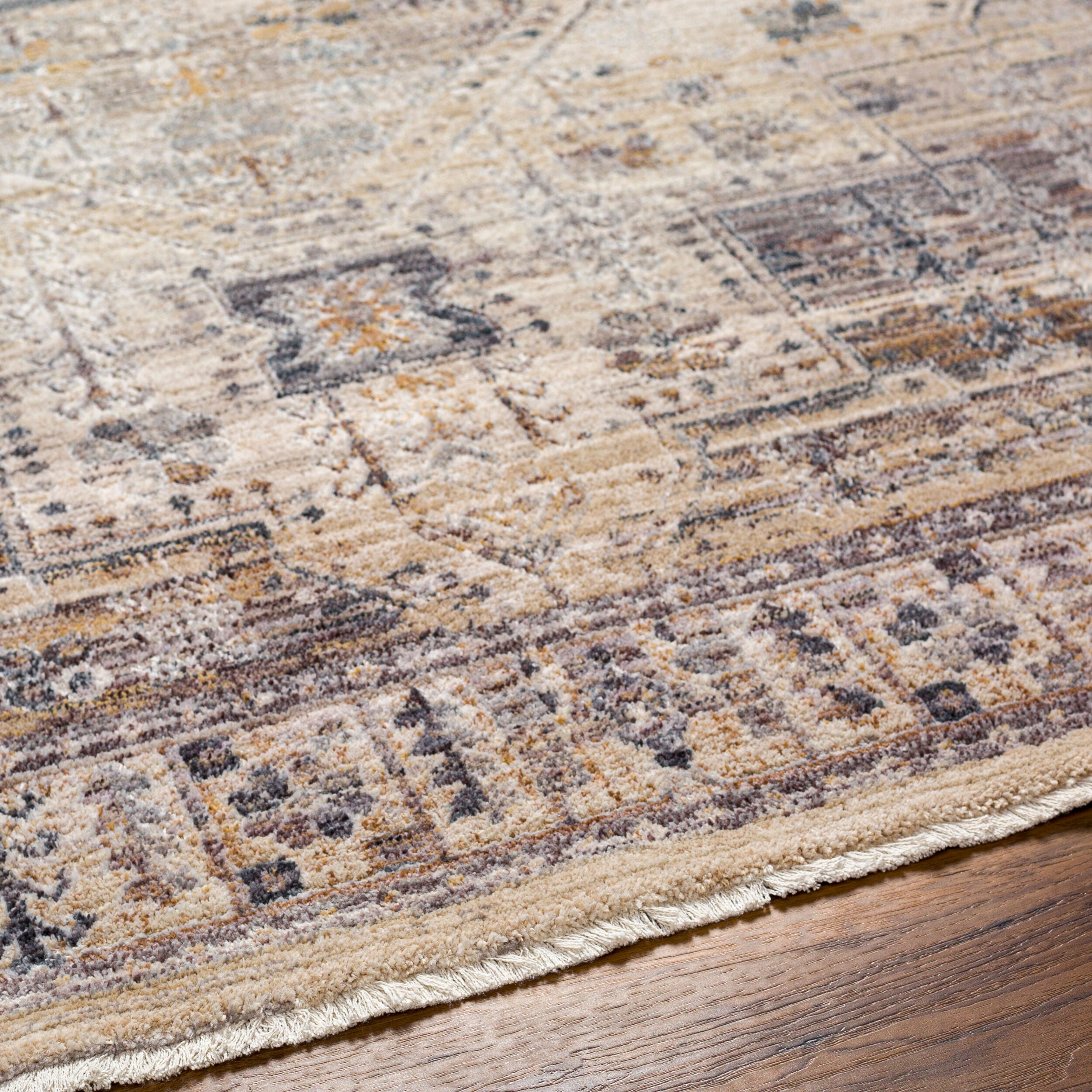 Surya Aida AAD-2307 Beige Area Rug by LIVABLISS
