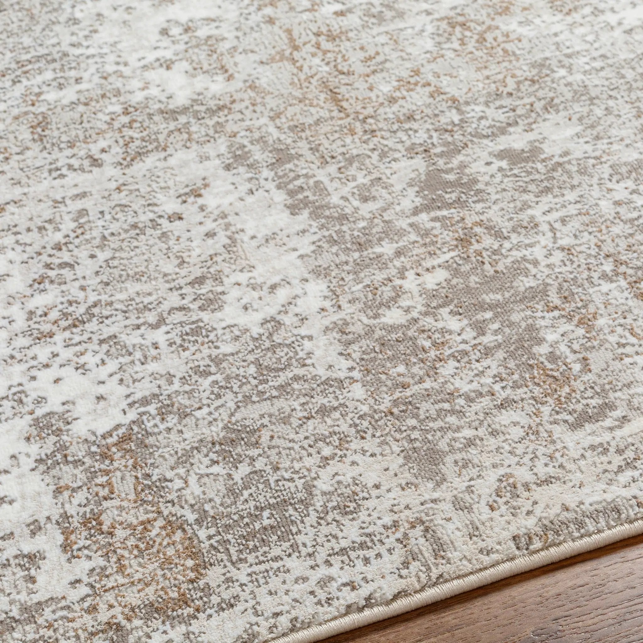 Allegro Plus AGP-2302 Ivory Area Rug by LIVABLISS