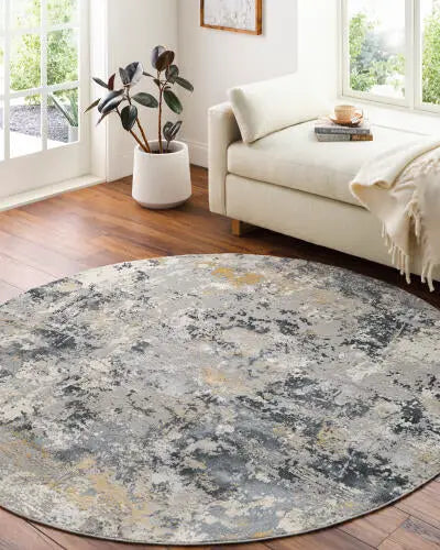 Aisha AIS-2303 Charcoal Area Rug by LIVABLISS