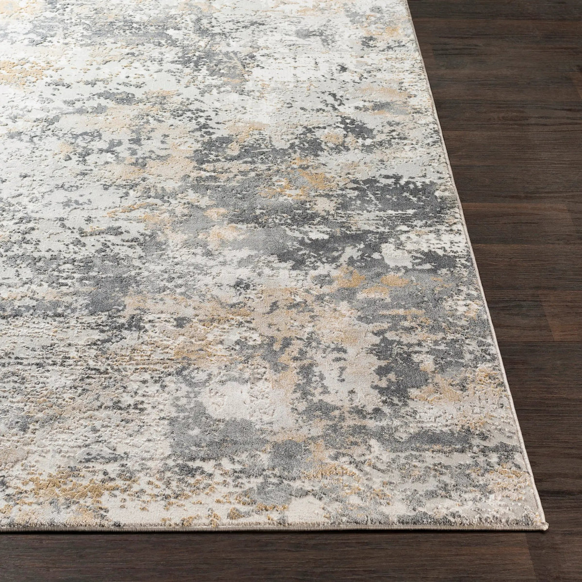 Aisha AIS-2303 Charcoal Area Rug by LIVABLISS
