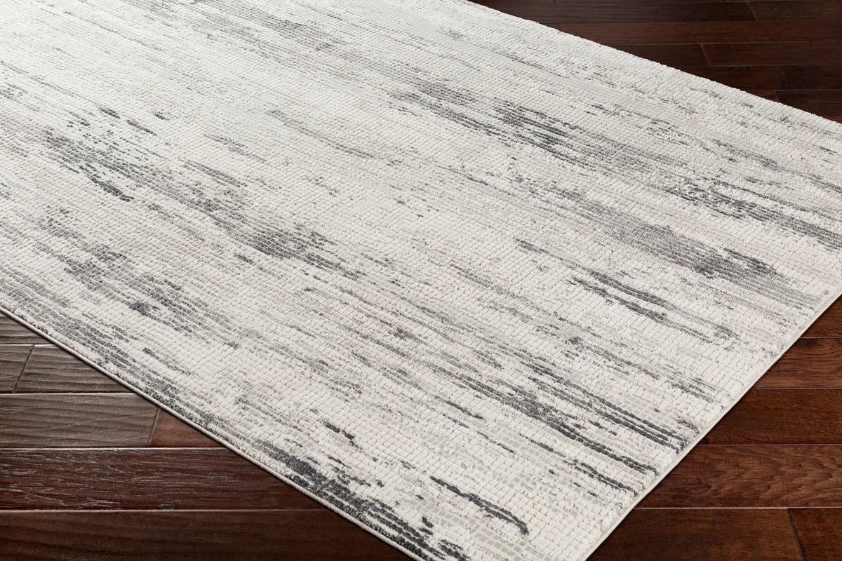 Aisha AIS-2304 Gray Area Rug by LIVABLISS