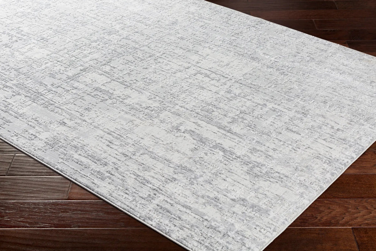 Aisha AIS-2305 Light-Gray Area Rug by LIVABLISS