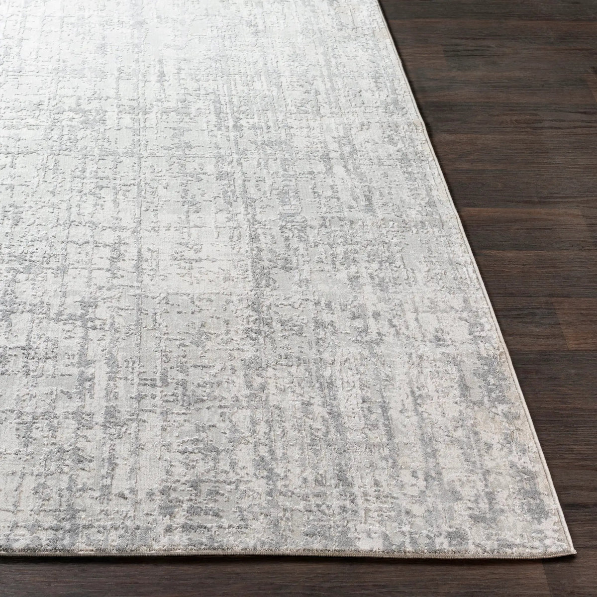 Aisha AIS-2305 Light-Gray Area Rug by LIVABLISS