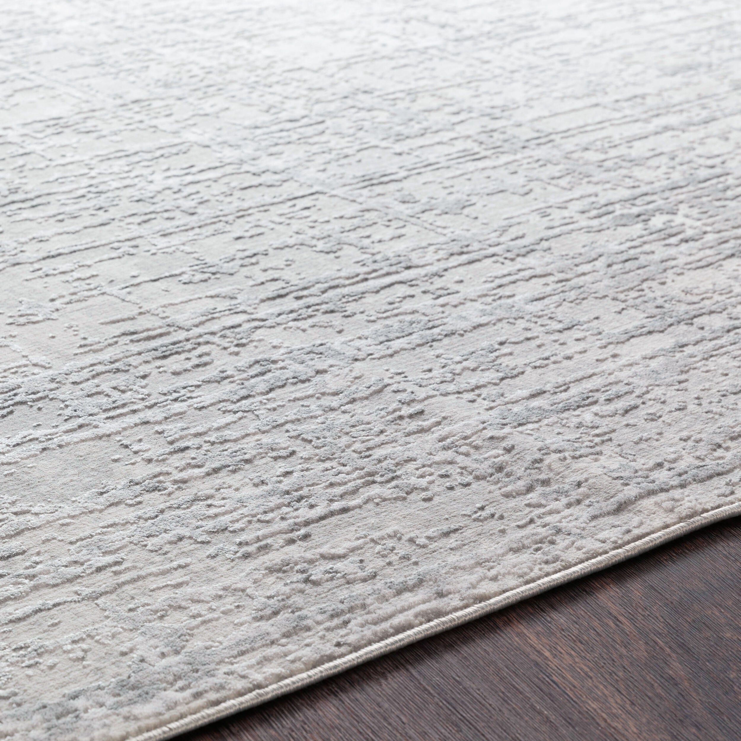 Surya Aisha AIS-2305 Light Gray Area Rug by LIVABLISS