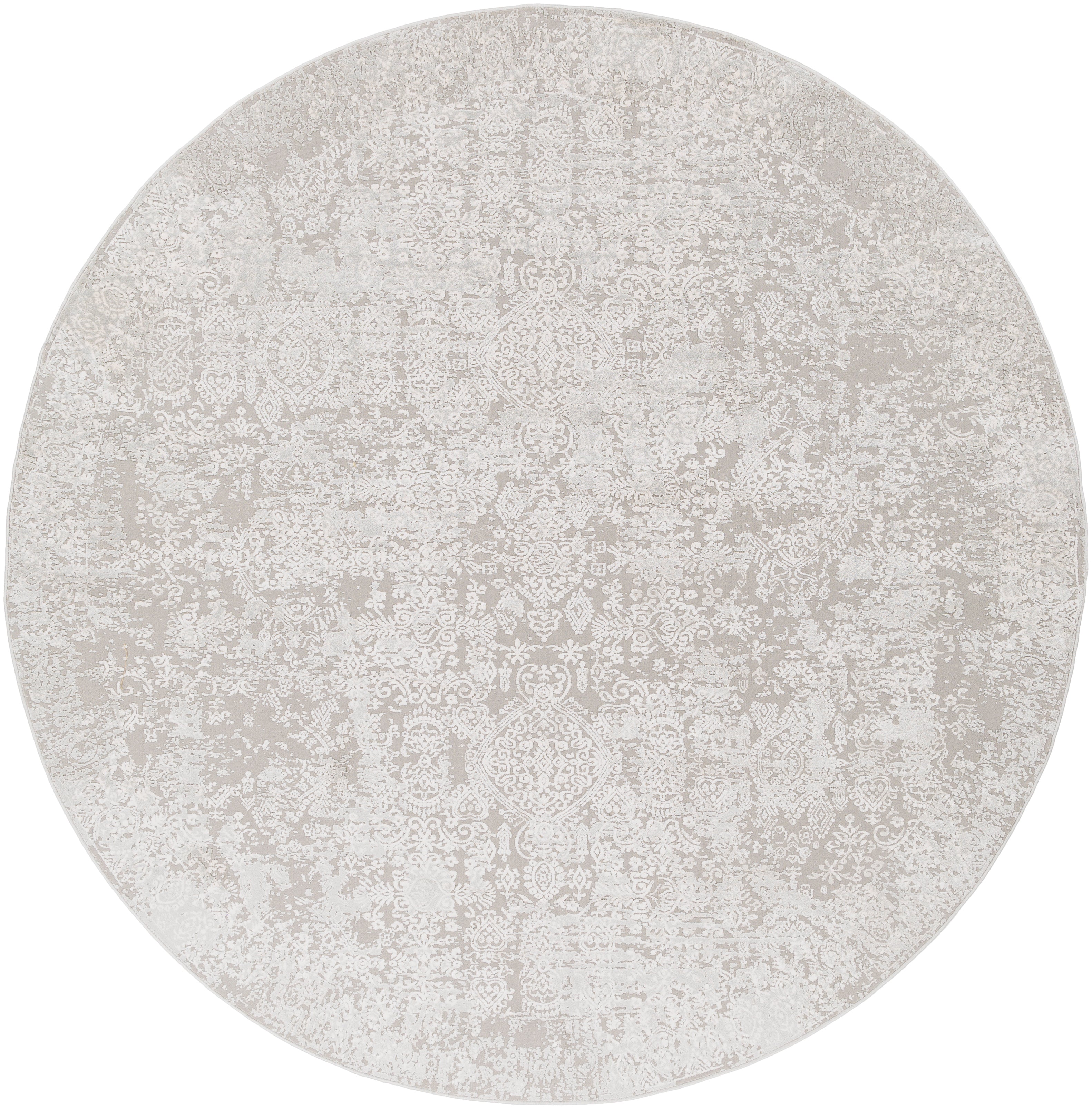 Surya Aisha AIS-2306 Light Gray Area Rug by LIVABLISS