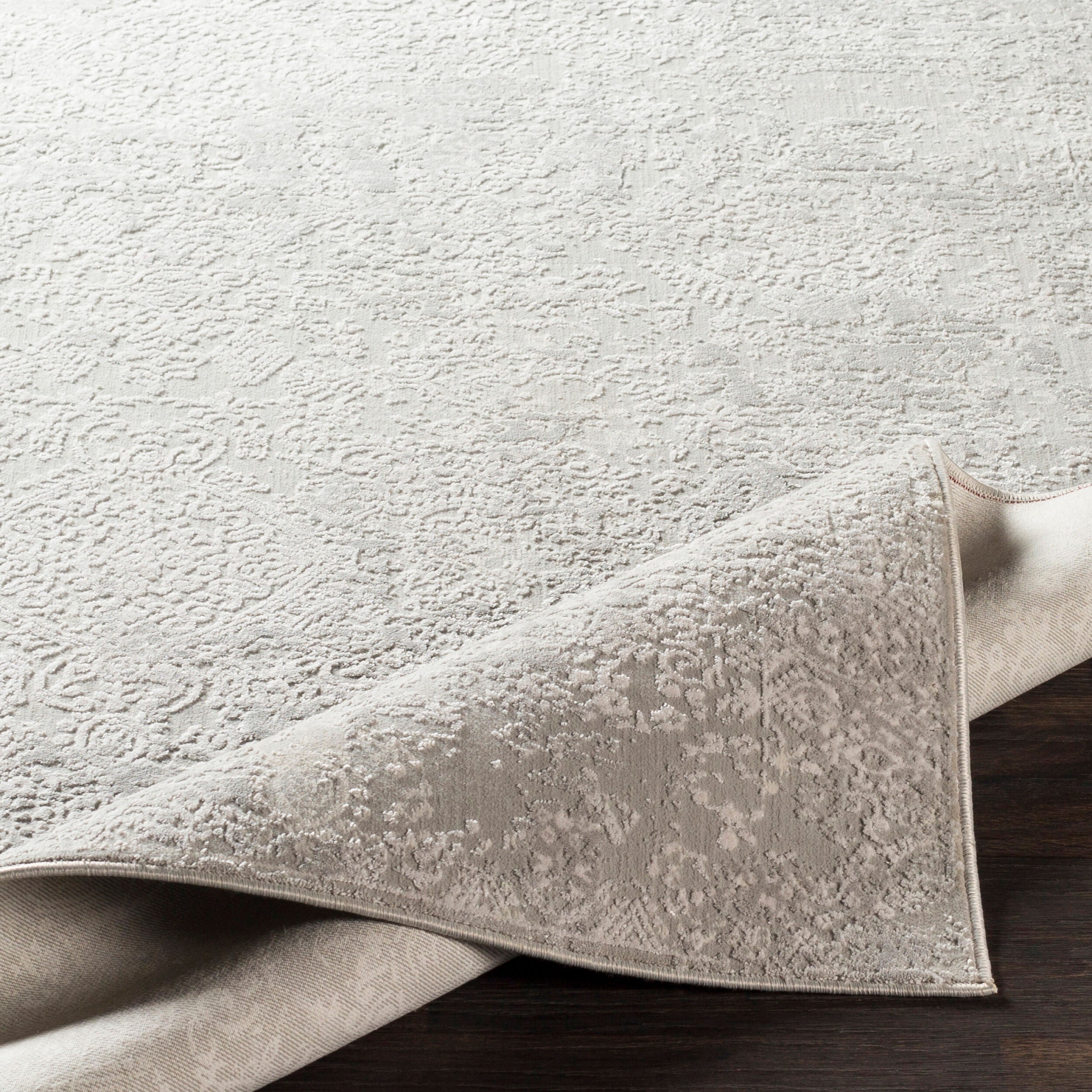 Surya Aisha AIS-2306 Light Gray Area Rug by LIVABLISS