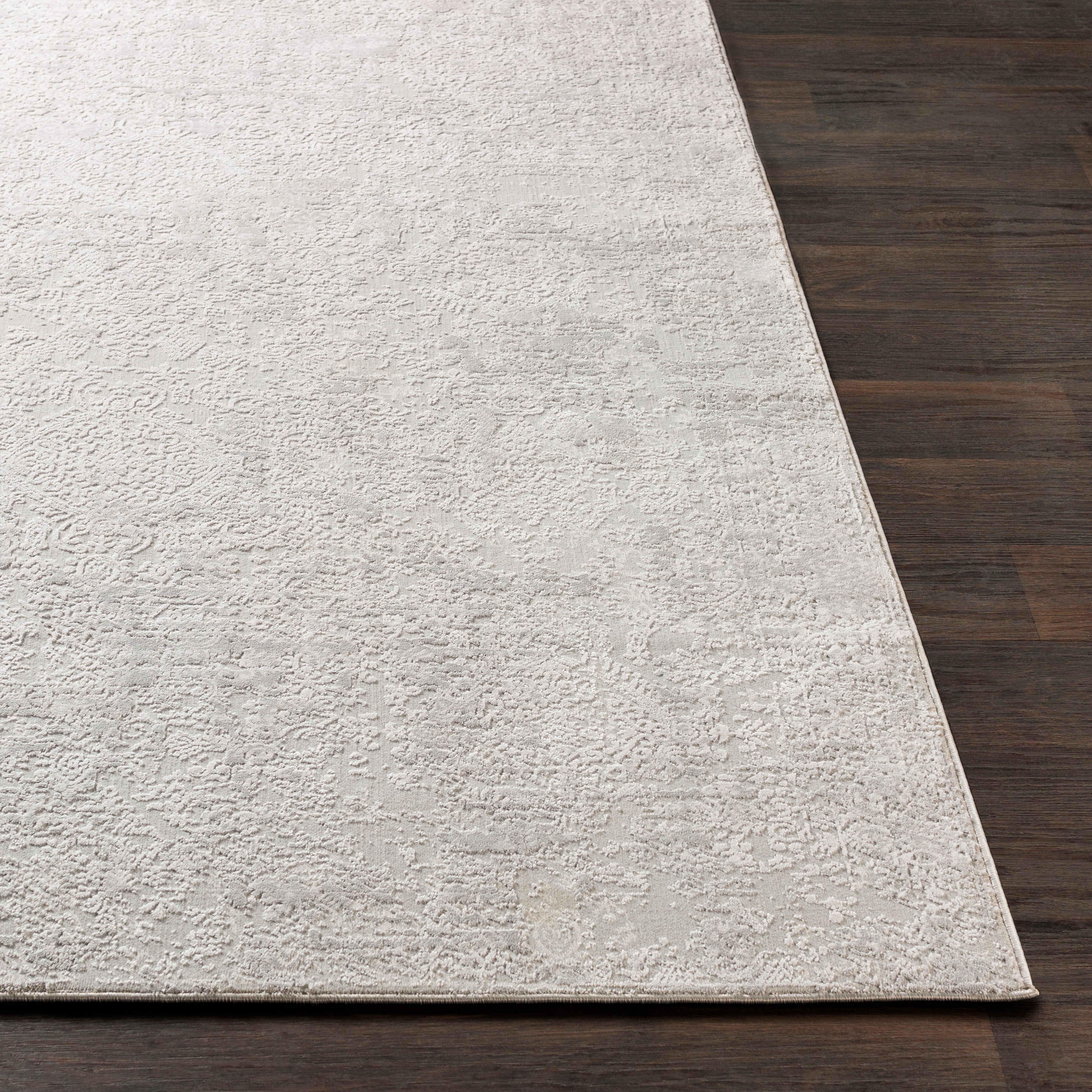Surya Aisha AIS-2306 Light Gray Area Rug by LIVABLISS