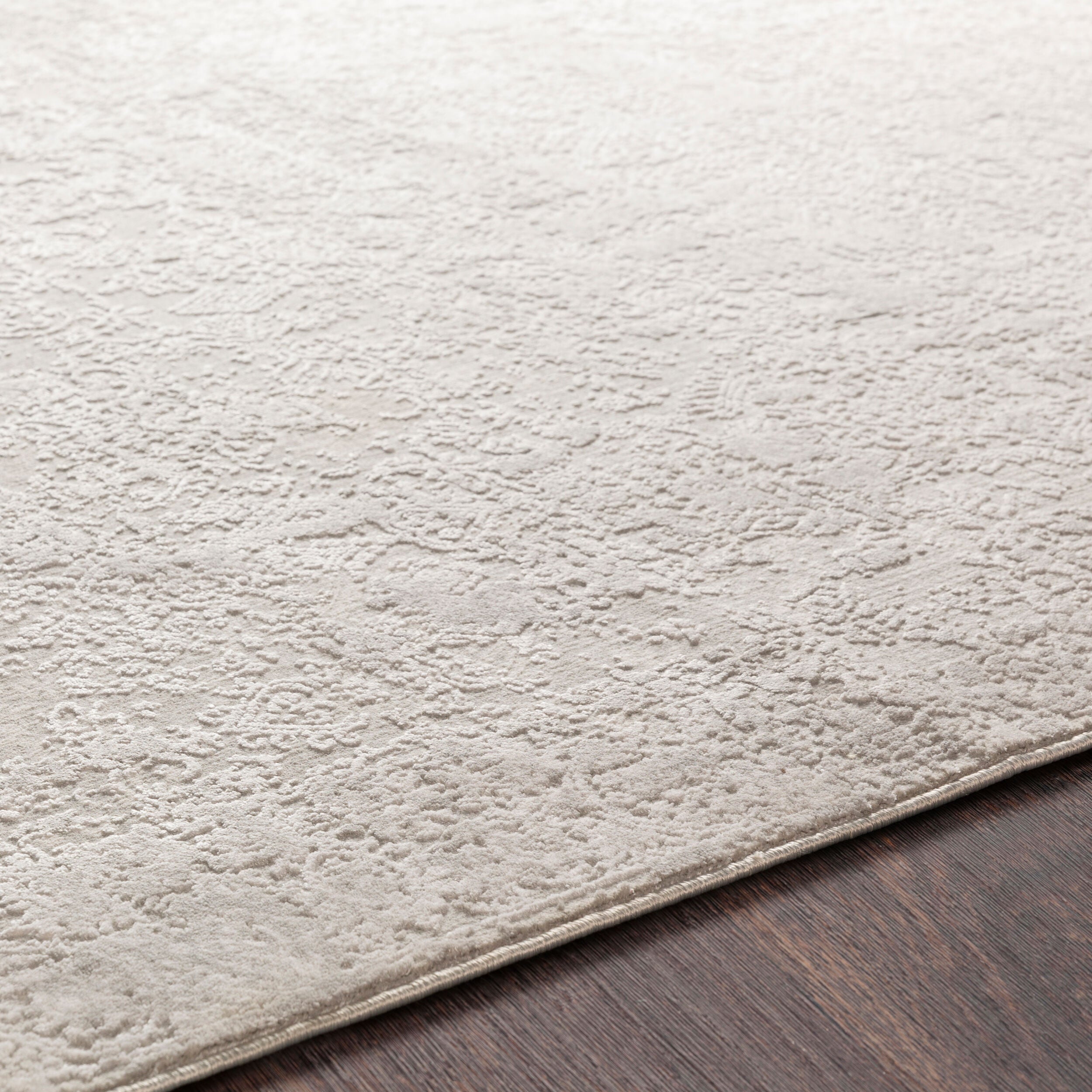 Surya Aisha AIS-2306 Light Gray Area Rug by LIVABLISS