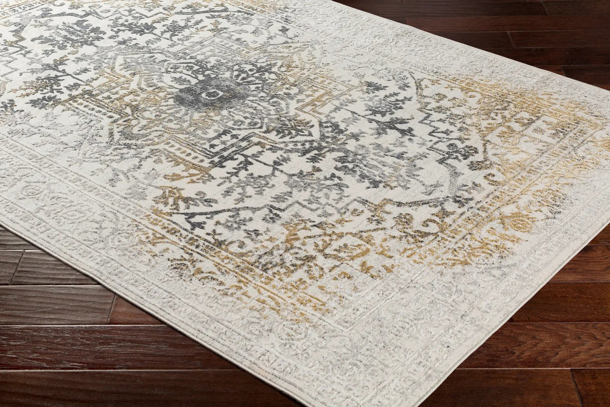 Aisha AIS-2308 Charcoal Area Rug by LIVABLISS