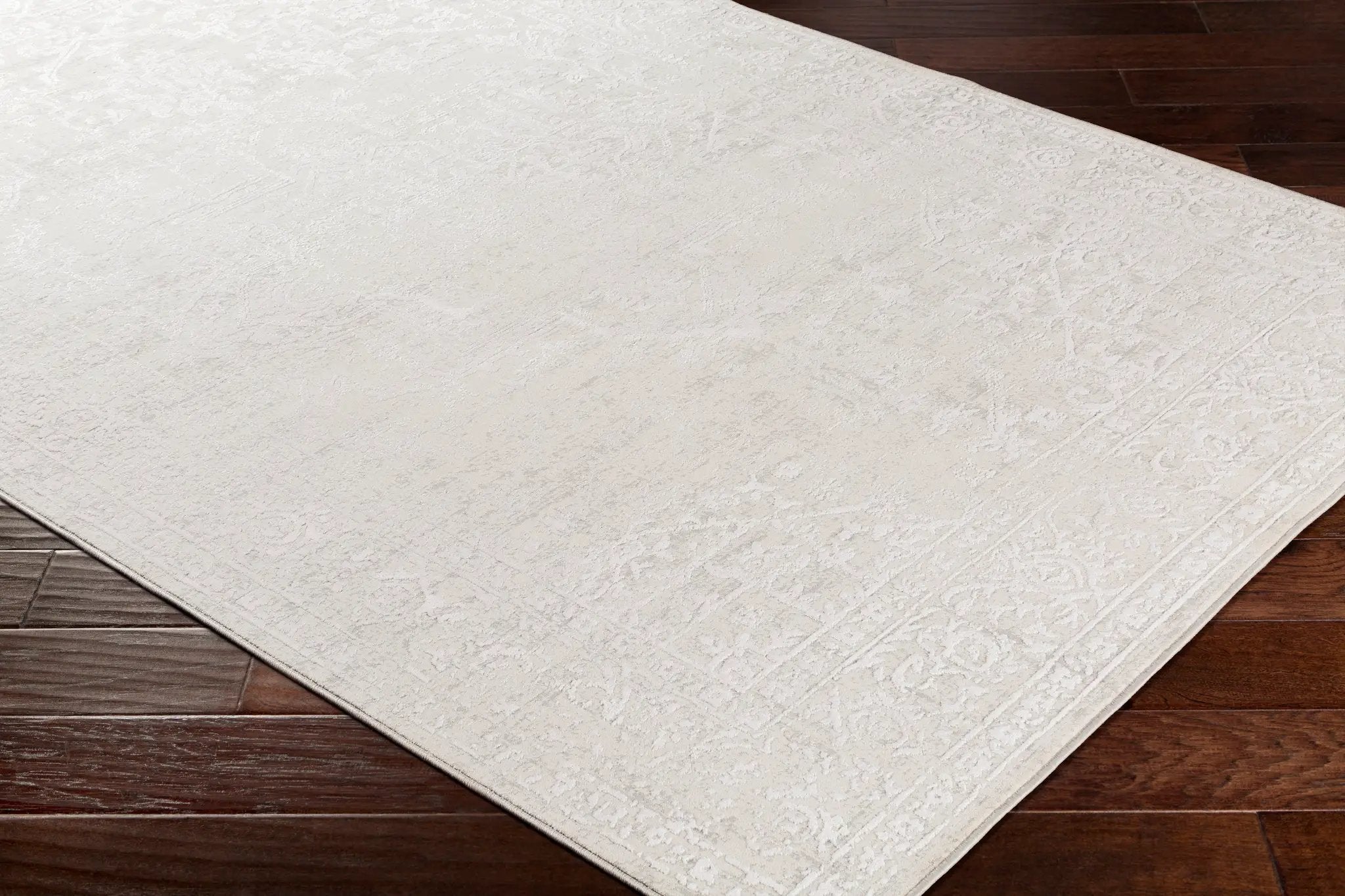 Aisha AIS-2309 Gray Area Rug by LIVABLISS