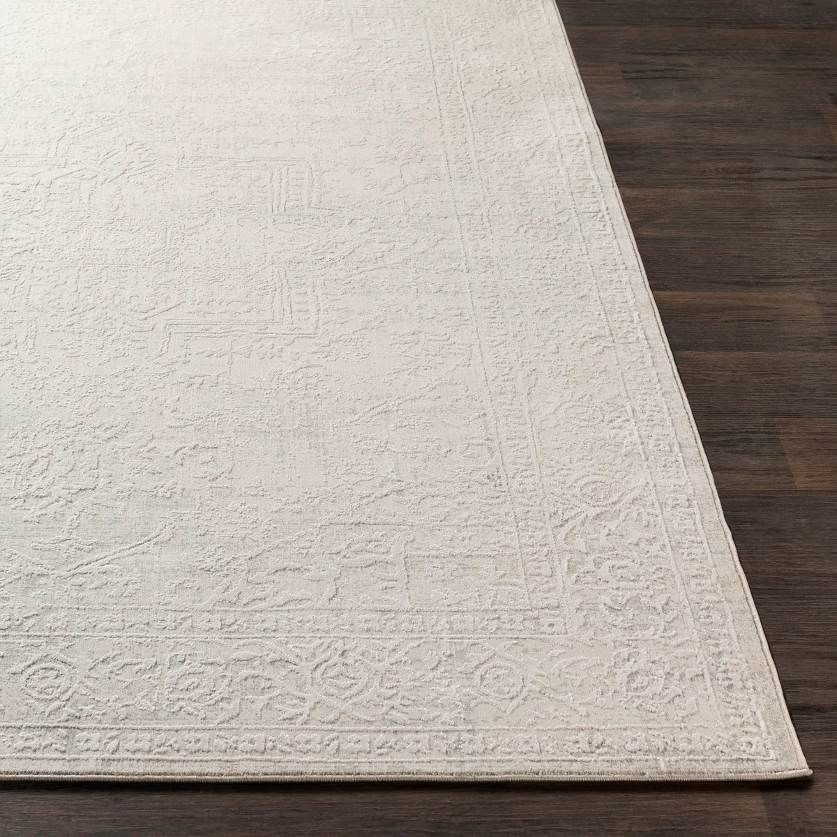 Aisha AIS-2309 Gray Area Rug by LIVABLISS