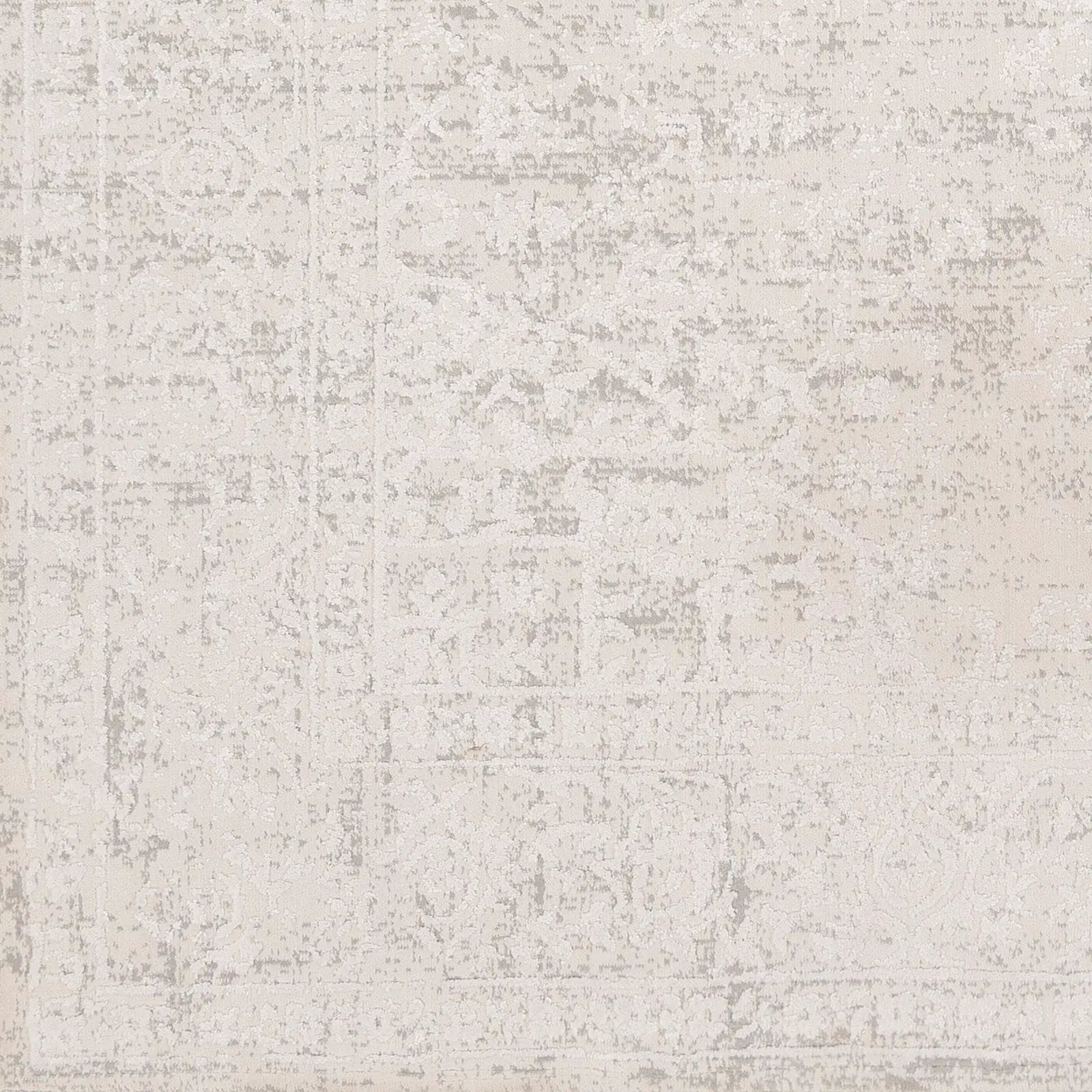 Aisha AIS-2309 Gray Area Rug by LIVABLISS