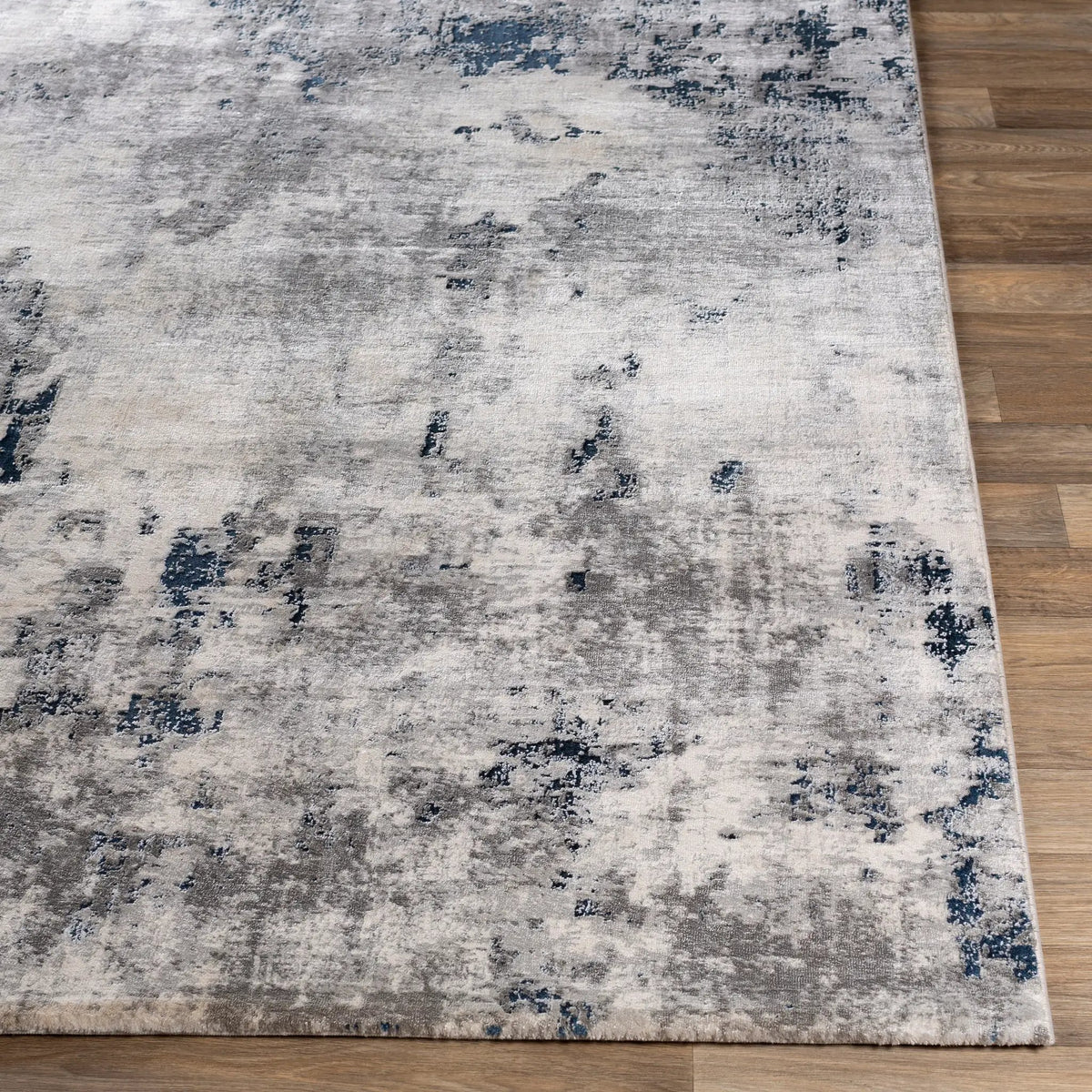 Aisha AIS-2314 Charcoal Area Rug by LIVABLISS