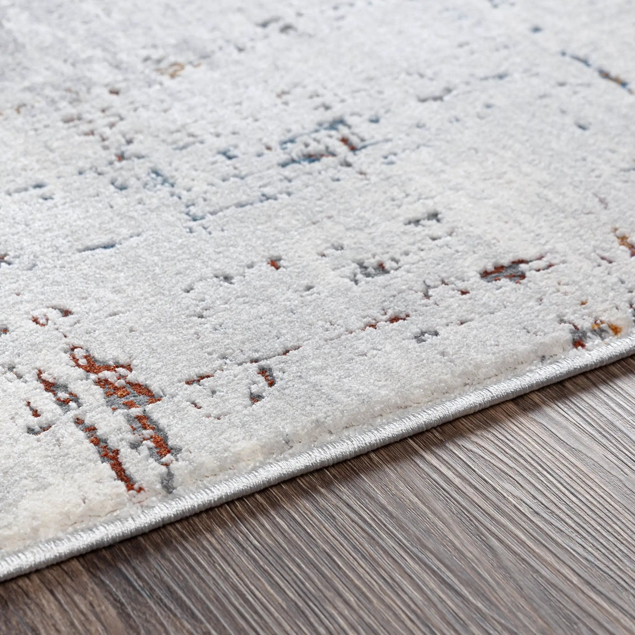 Aisha AIS-2317 Gray Area Rug by LIVABLISS