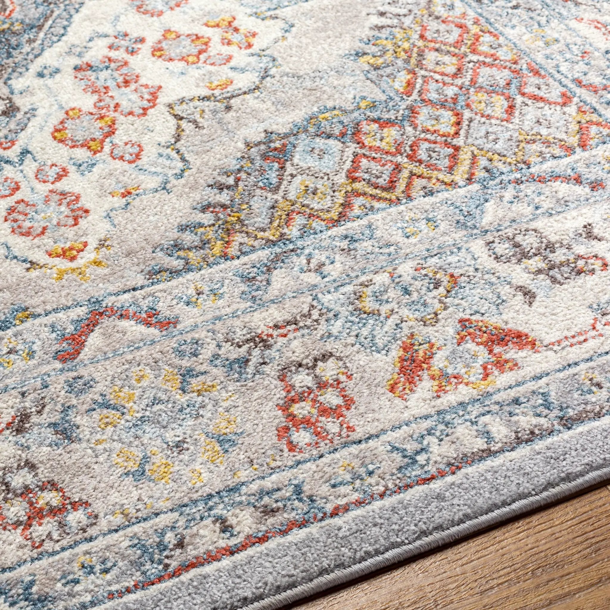 Ankara AKR-2300 Gray Area Rug by LIVABLISS