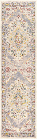 Ankara AKR-2301 Taupe Area Rug