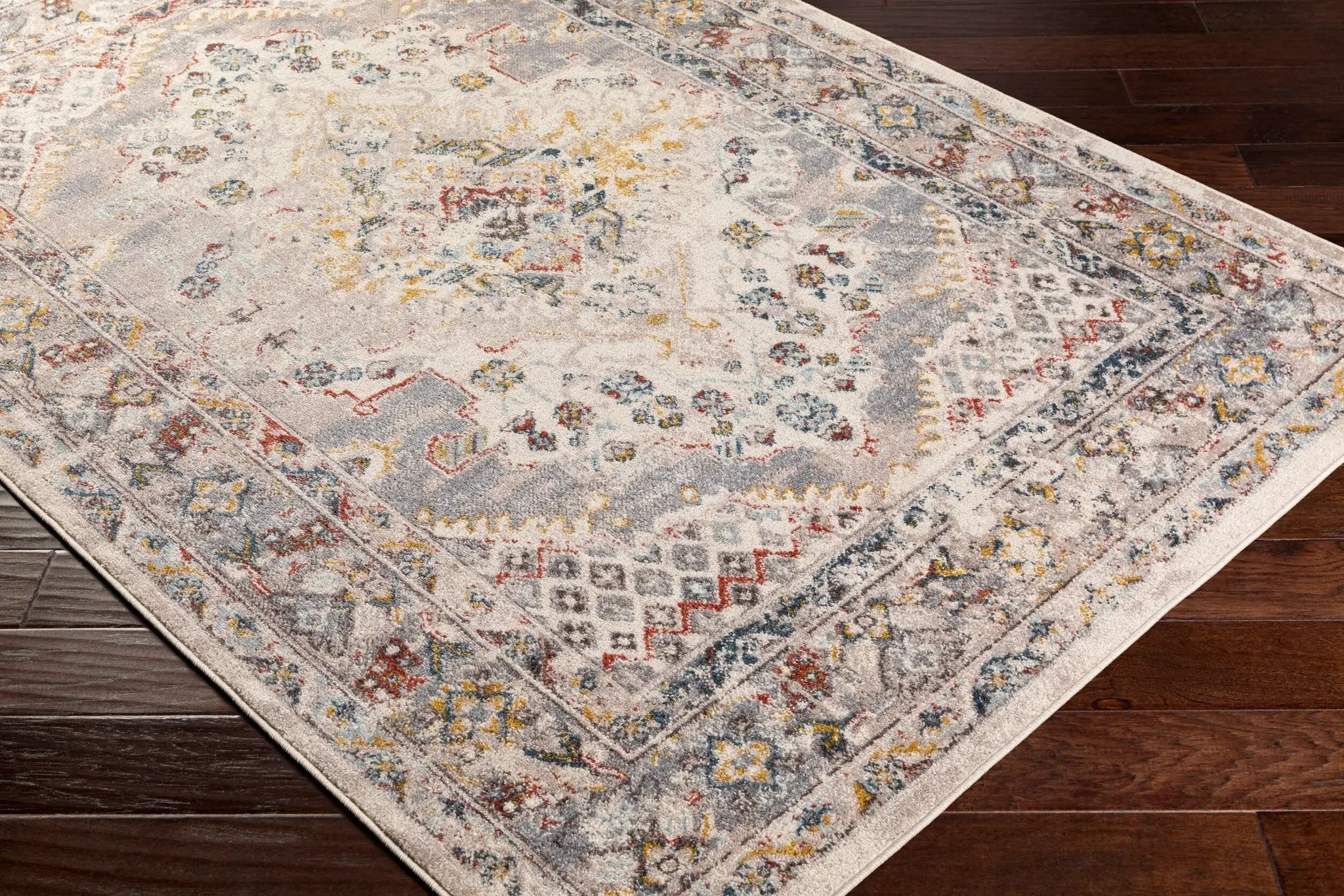 Ankara AKR-2301 Taupe Area Rug by LIVABLISS