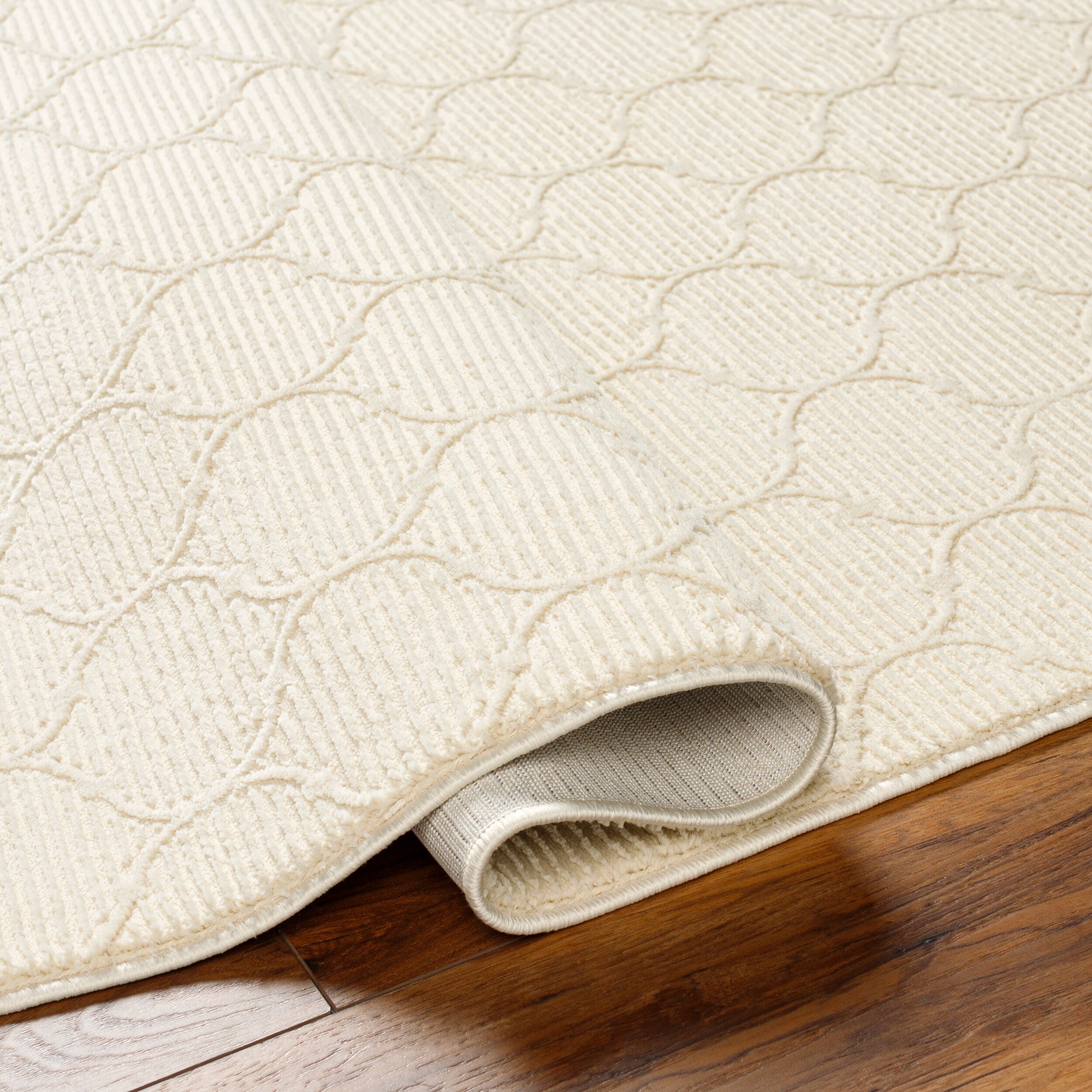 Surya Alder ALD-2307 Cream Machine Washable Area Rug by LIVABLISS