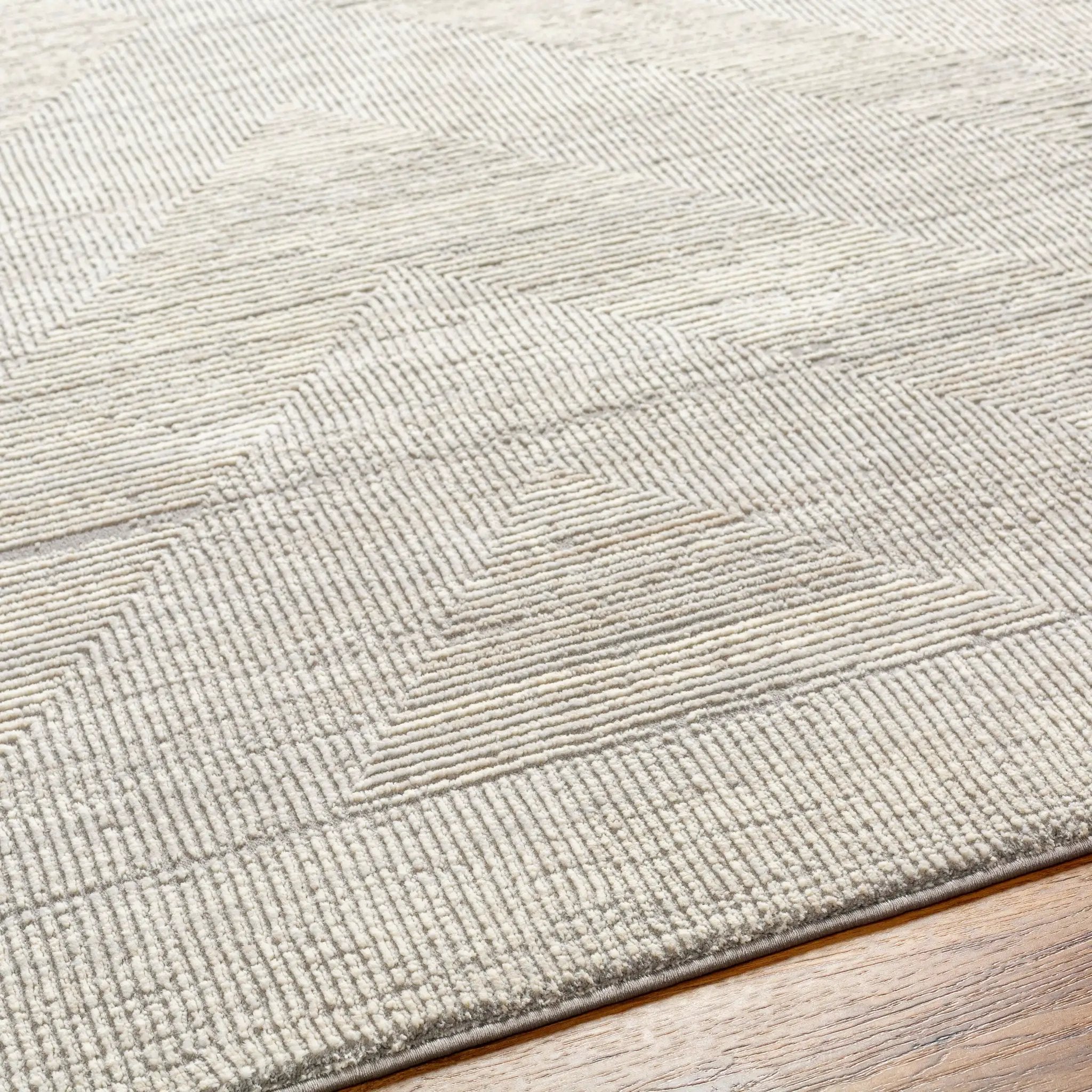 Alder ALD-2311 Gray Area Rug by LIVABLISS