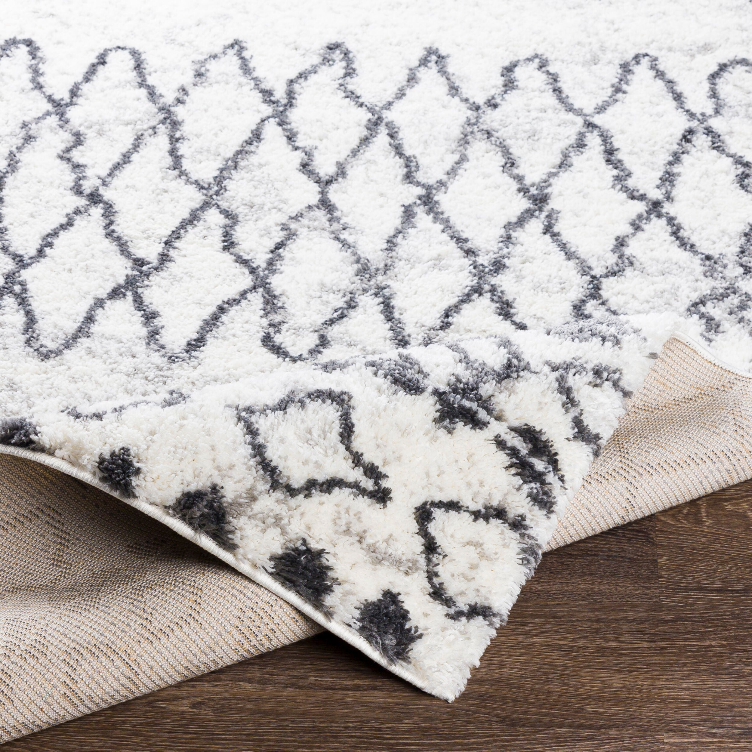 Surya Aliyah Shag ALH-2311 Gray Area Rug by LIVABLISS