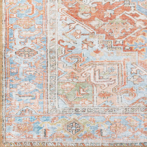 Surya Alanya ALY-2305 Brown Machine Washable Area Rug by LIVABLISS