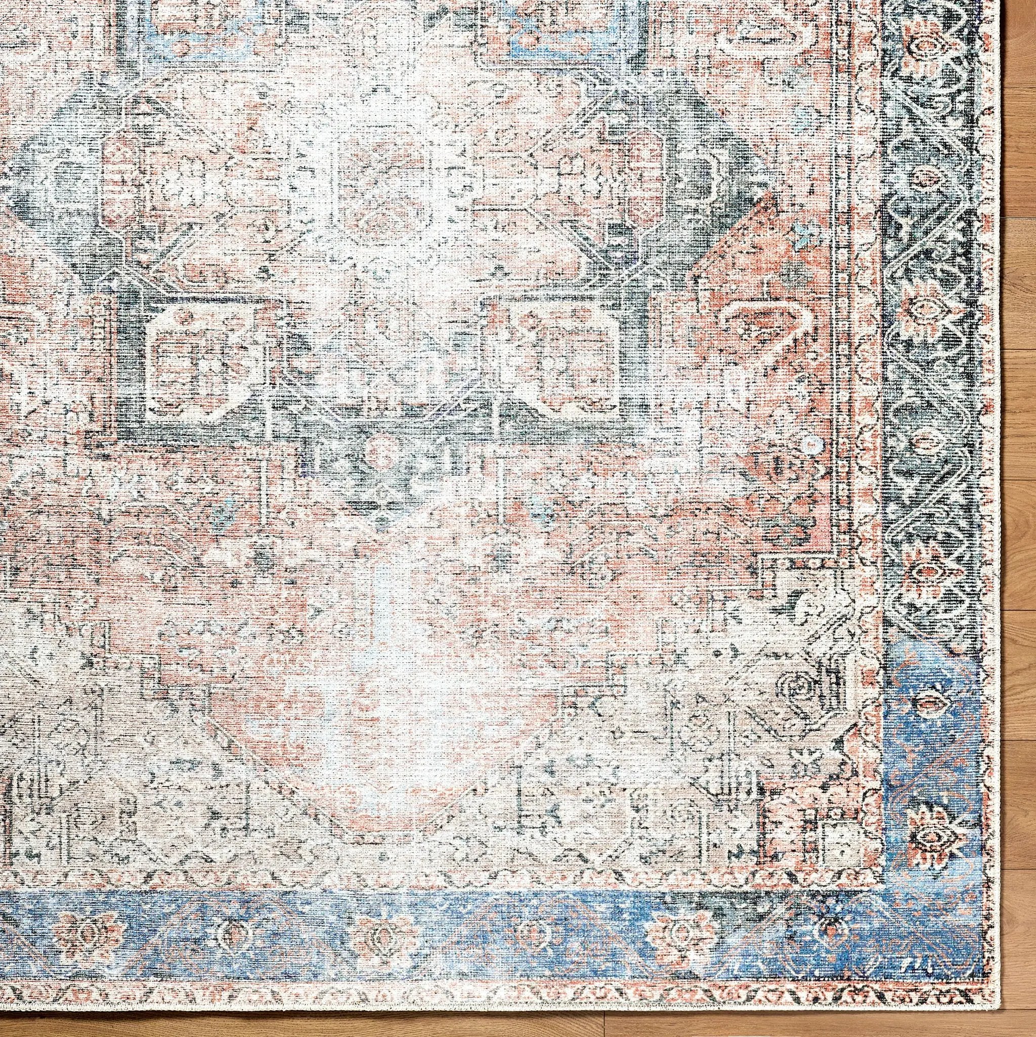 Amelie AML-2309 Rust Area Rug by LIVABLISS