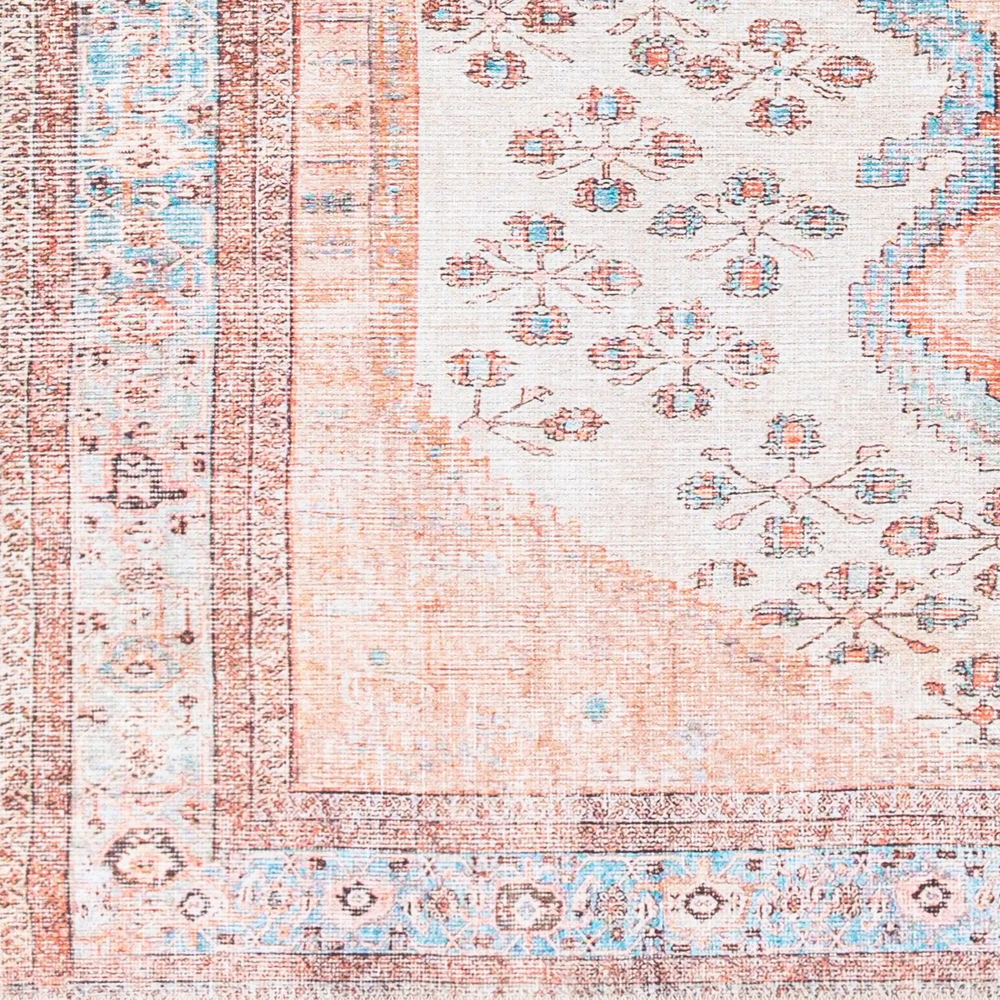 Amelie AML-2326 Pink Area Rug by LIVABLISS