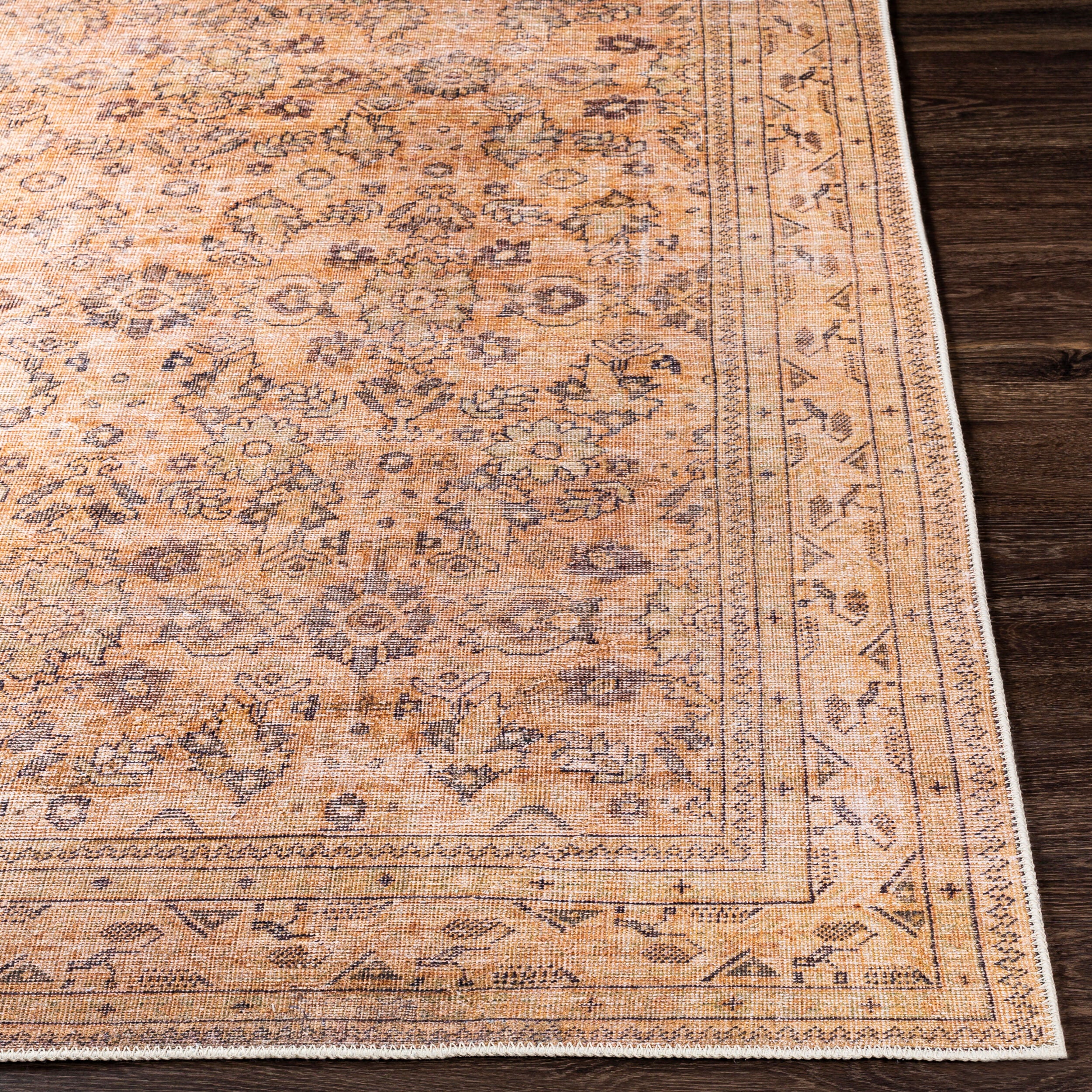 Amelie AML-2338 Brown Area Rug