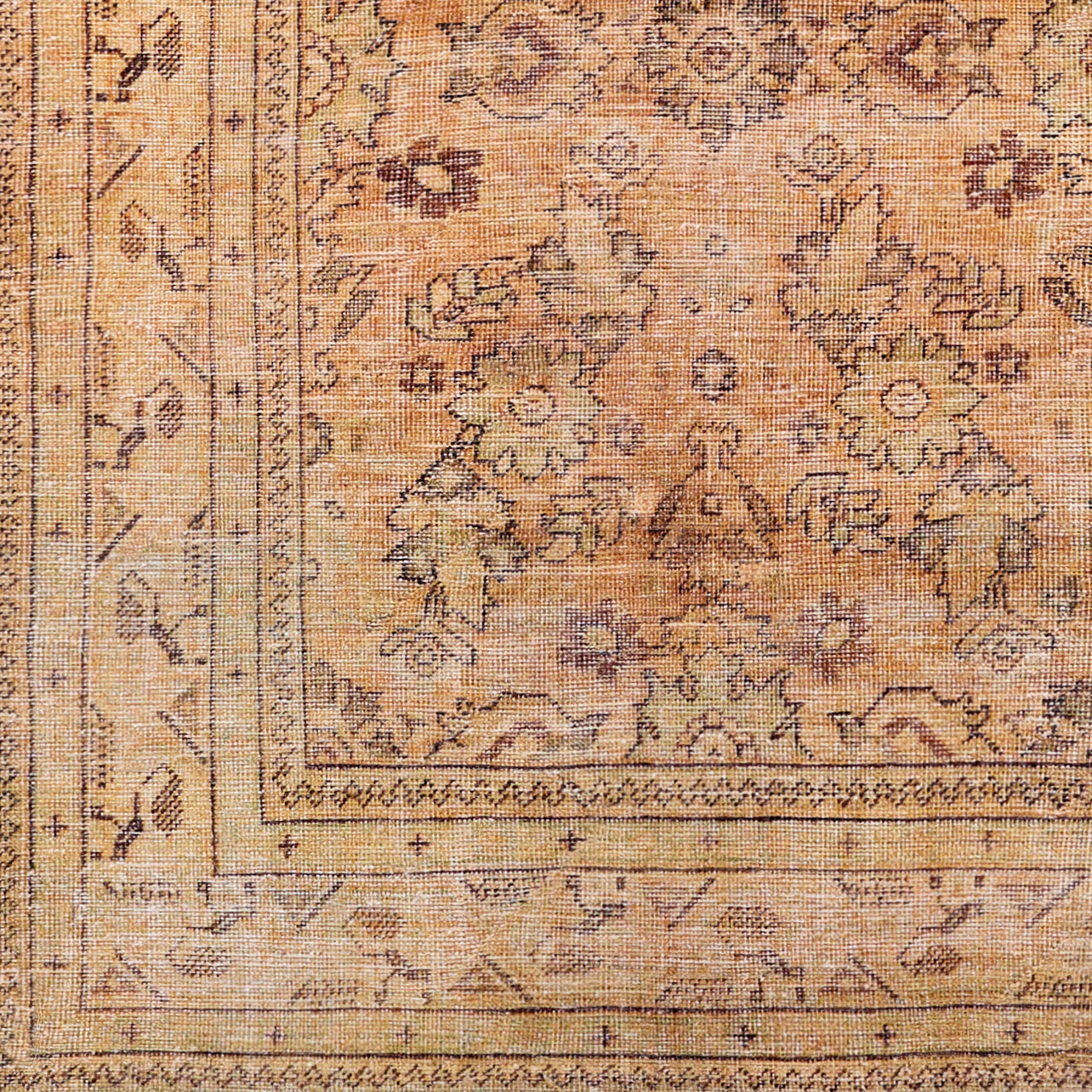 Amelie AML-2338 Brown Area Rug