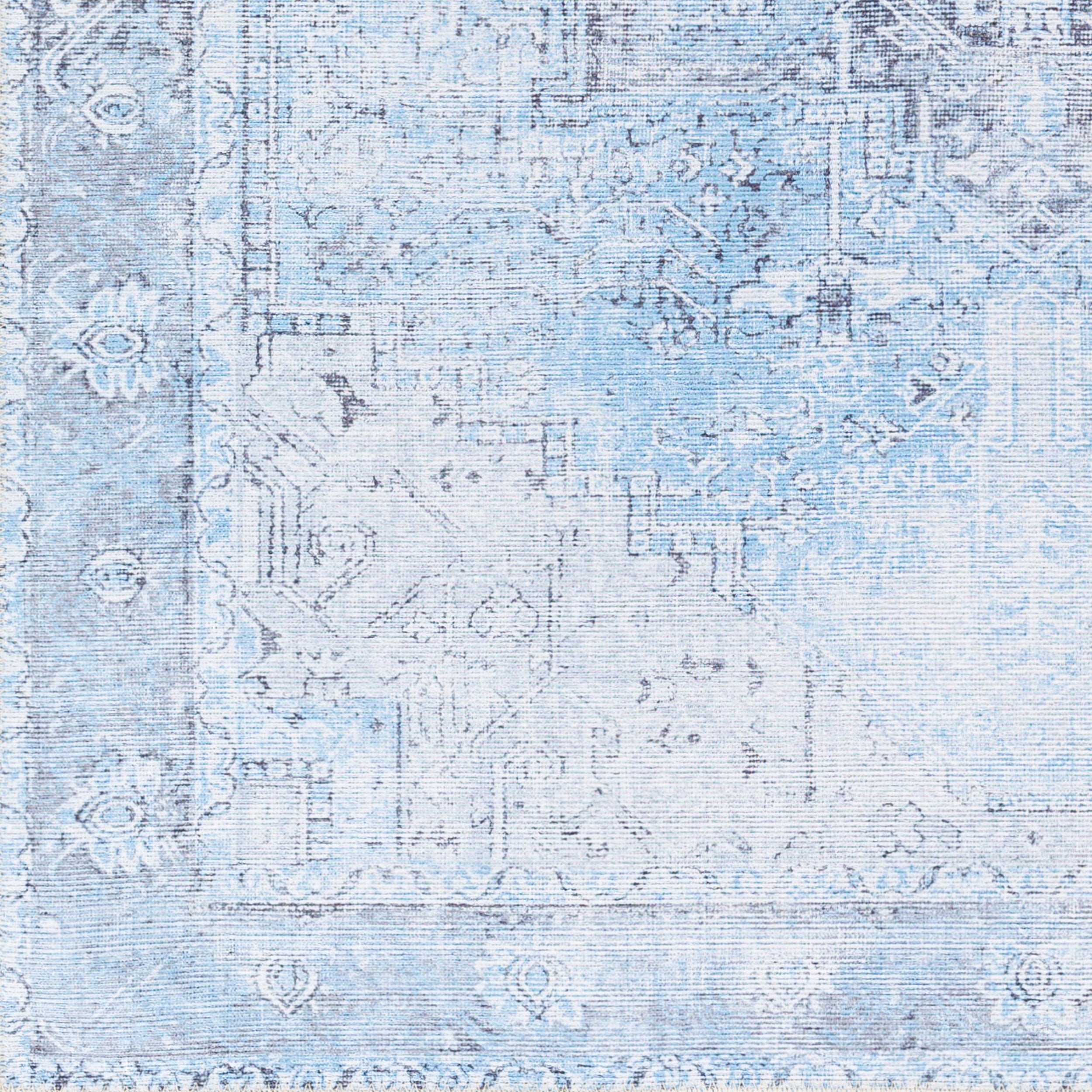 Amelie AML-2362 Light-Blue Area Rug