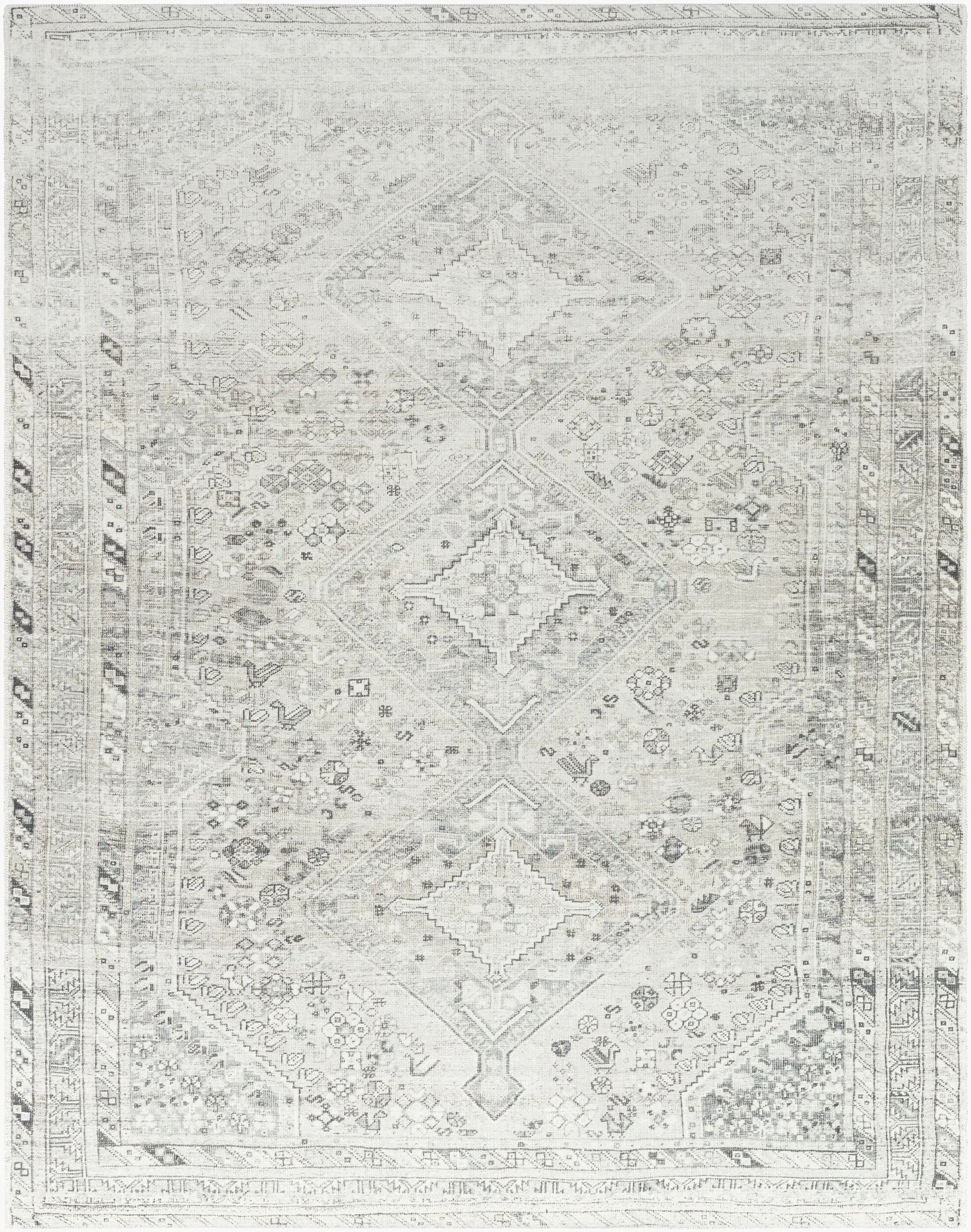 Amelie AML-2379 Off-White Area Rug by LIVABLISS