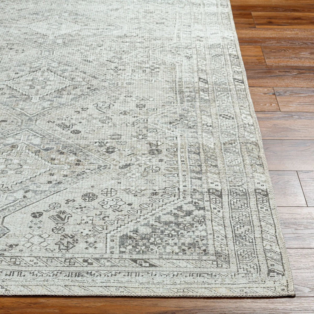 Amelie AML-2379 Off-White Area Rug by LIVABLISS