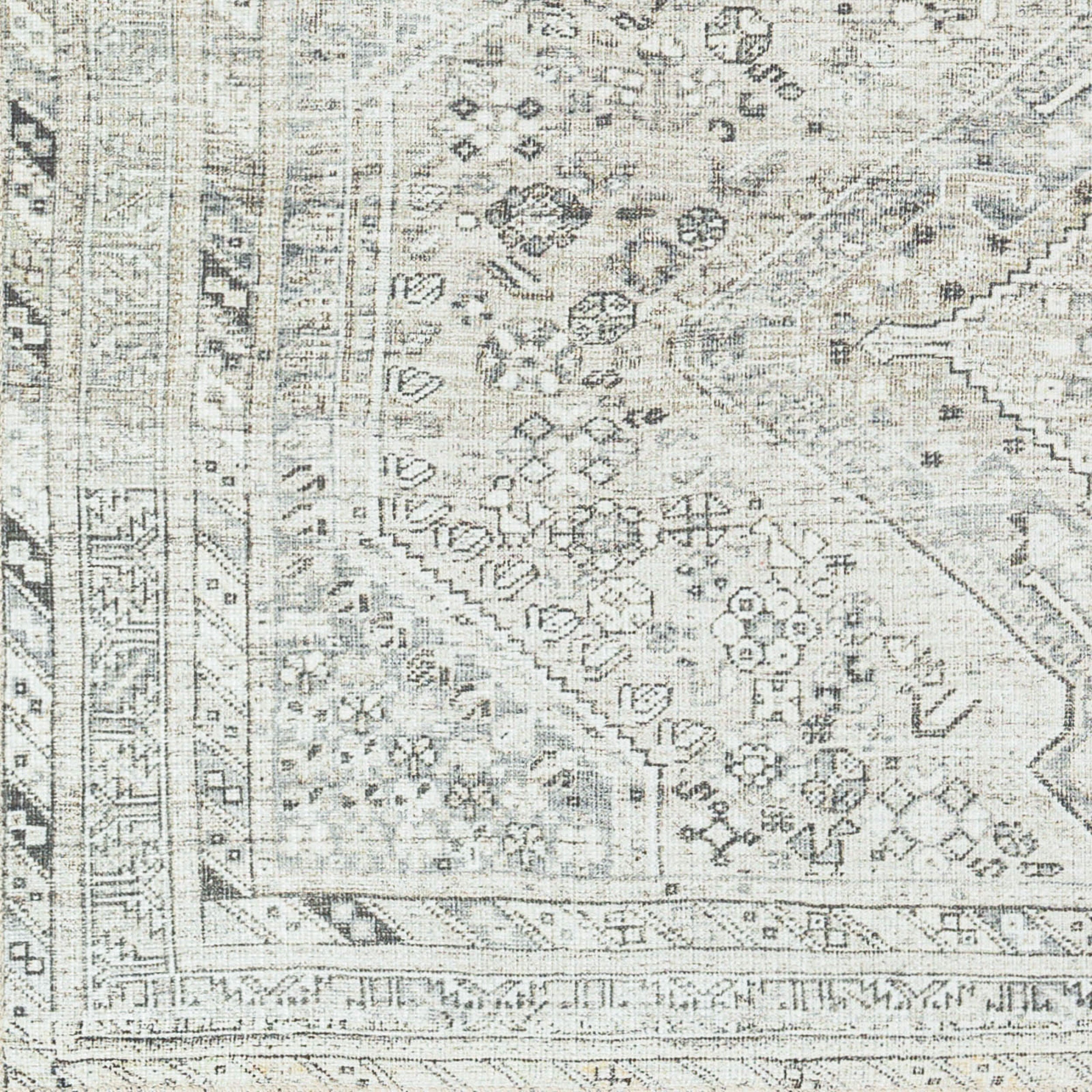 Amelie AML-2379 Off-White Area Rug