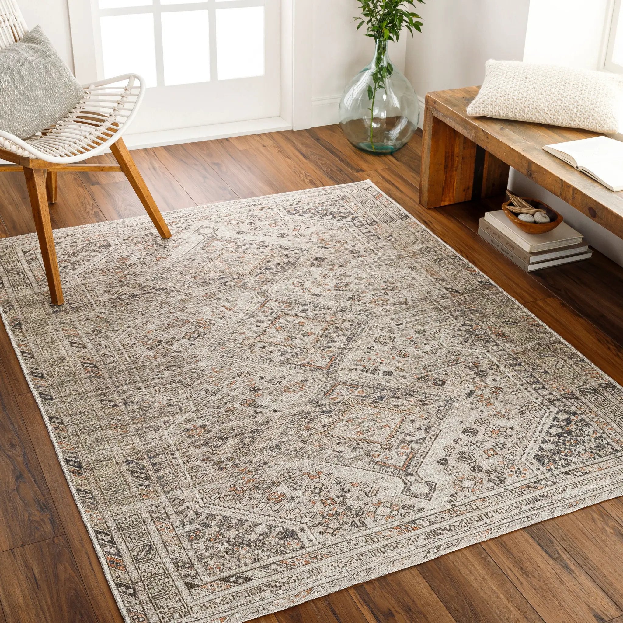 Amelie AML-2383 Light Brown Area Rug by LIVABLISS