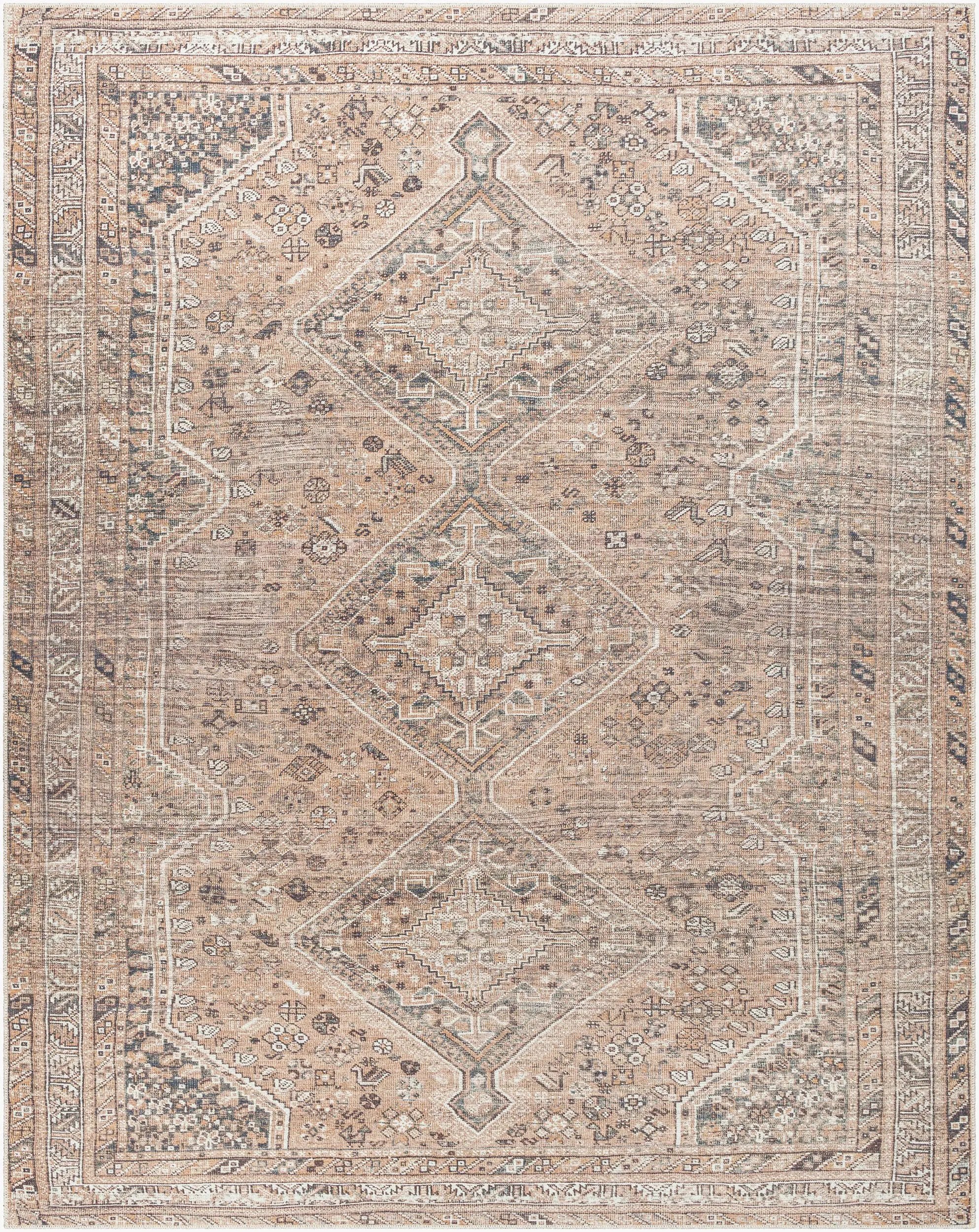 Amelie AML-2384 Light Brown Area Rug by LIVABLISS