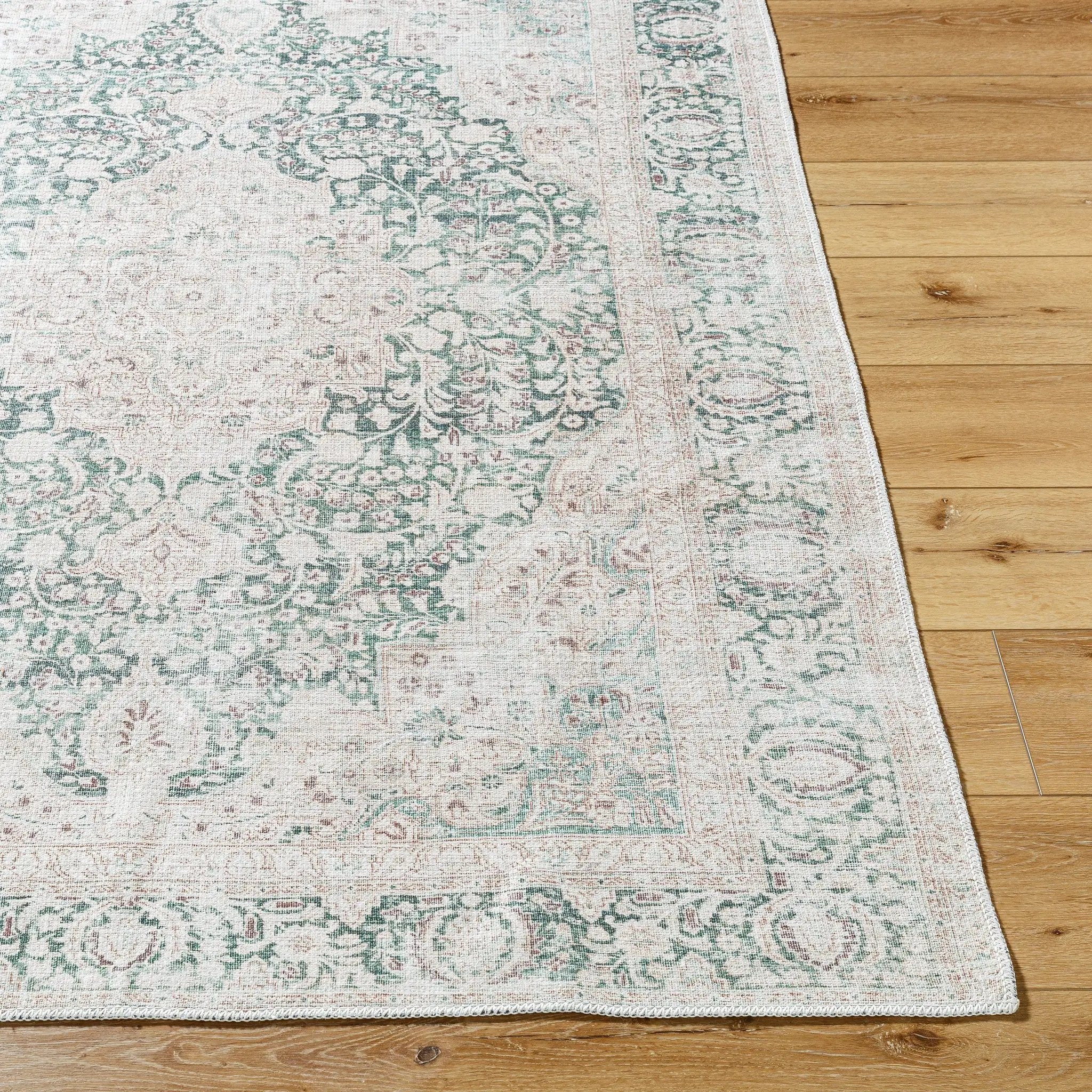 Amelie AML-2393 Medium-Green Area Rug by LIVABLISS
