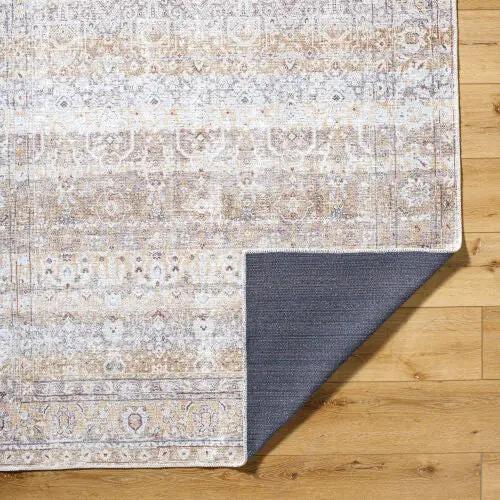 Amelie AML-2400 Beige Area Rug by LIVABLISS